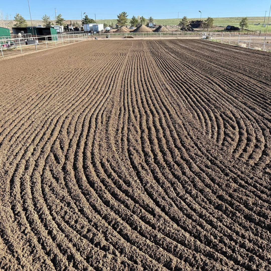 A large dirt arena with evenly raked, circular patterns in the soil, surrounded by a white fence, with farm buildings and trees in the background.