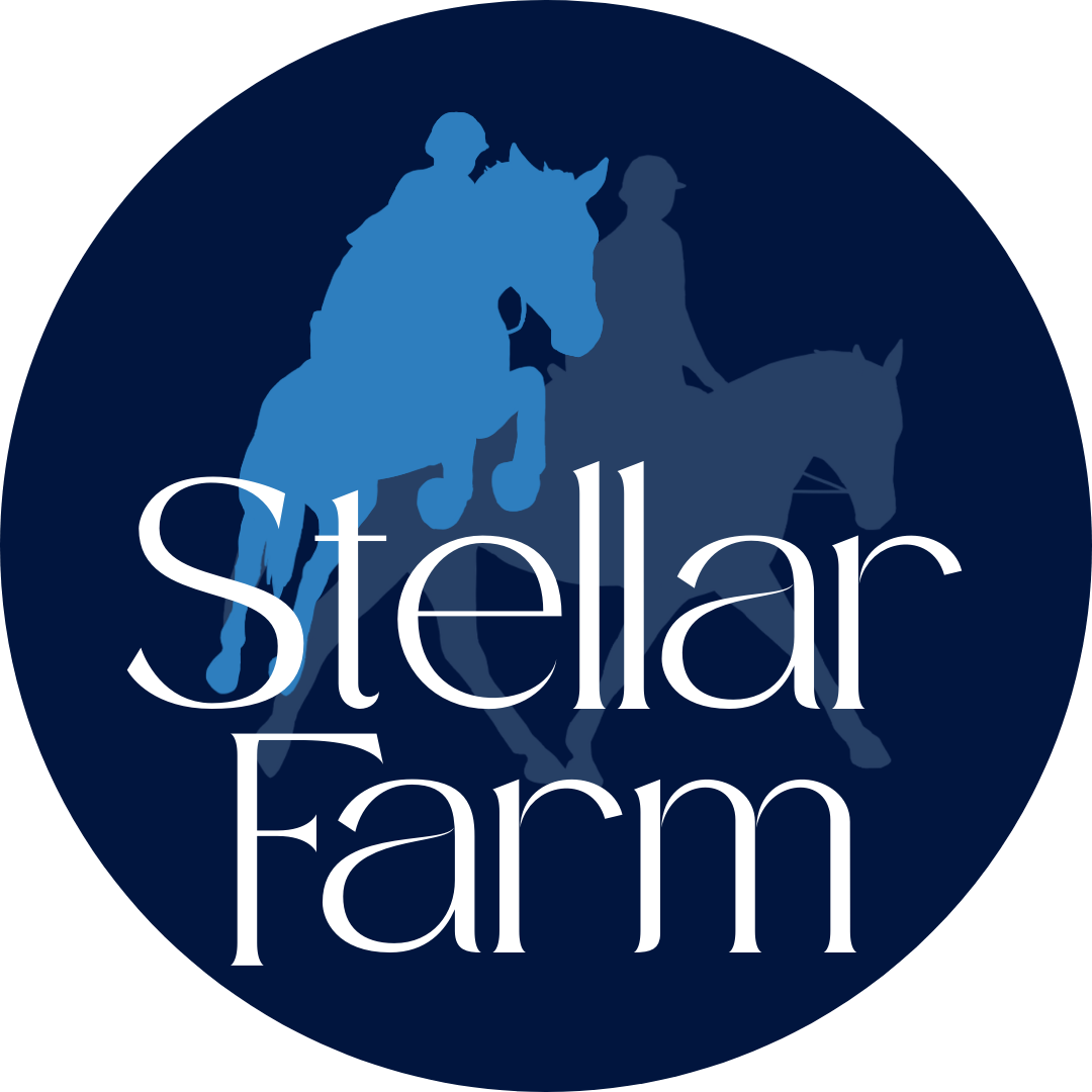 Silhouettes of two people riding horses, with "Stellar Farm" written in large white text in front of them, on a circular dark blue background.