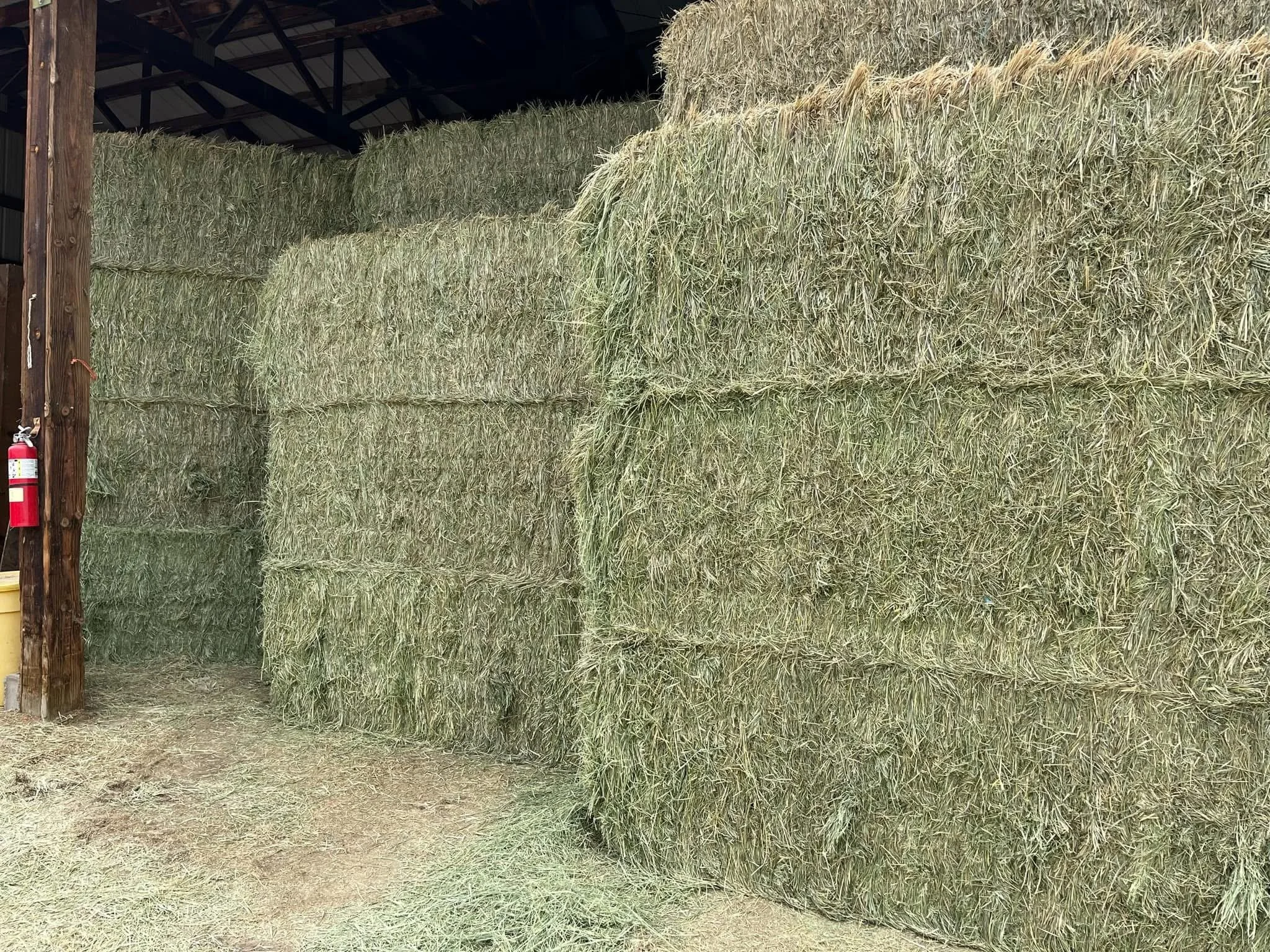 Fresh hay delivery to the equestrian center.