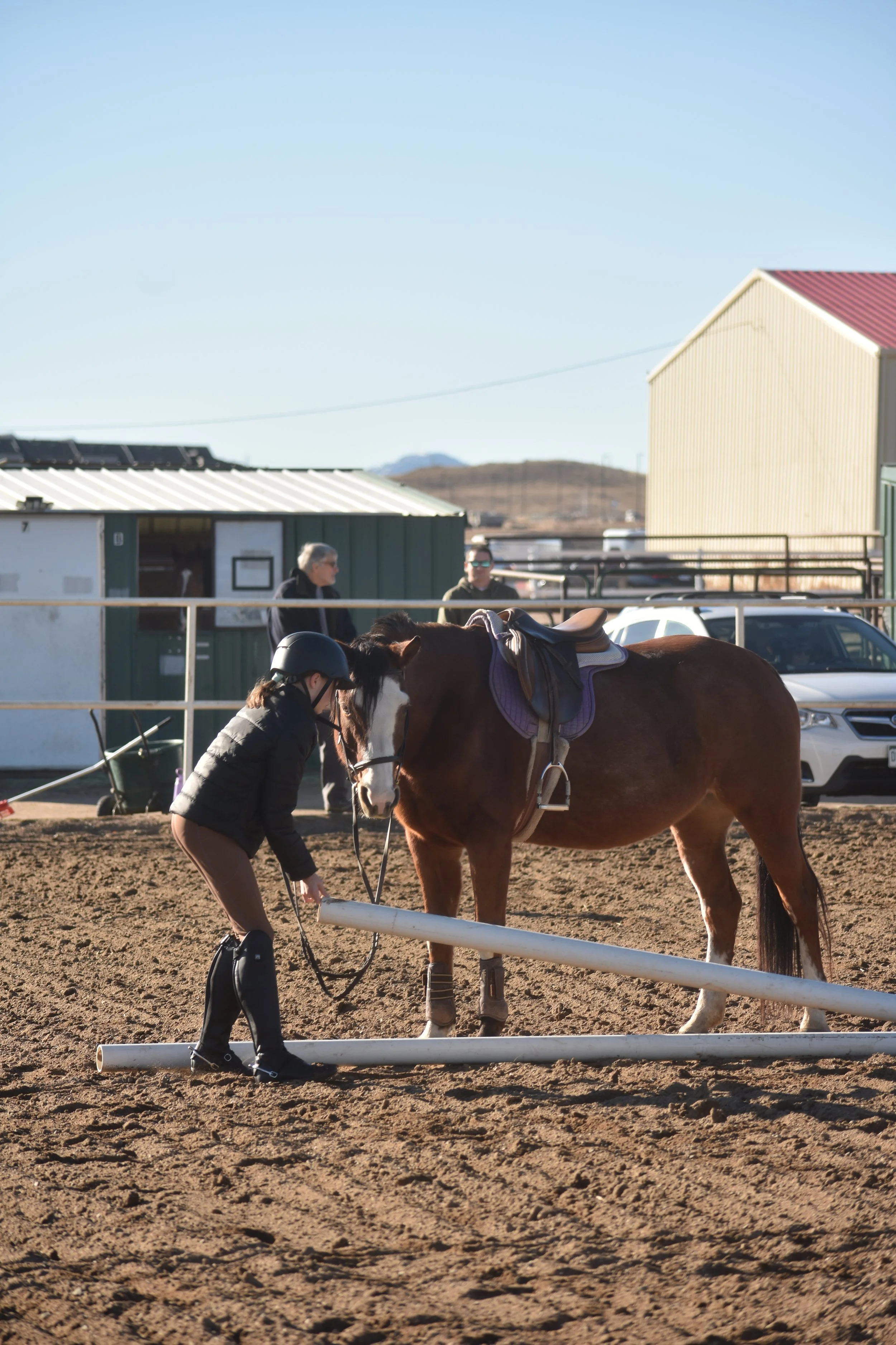 A person in riding gear kneels next to a brown horse with a saddle inside a riding arena. Two women observe in the background near a green stable, with parked cars and a blue sky overhead.