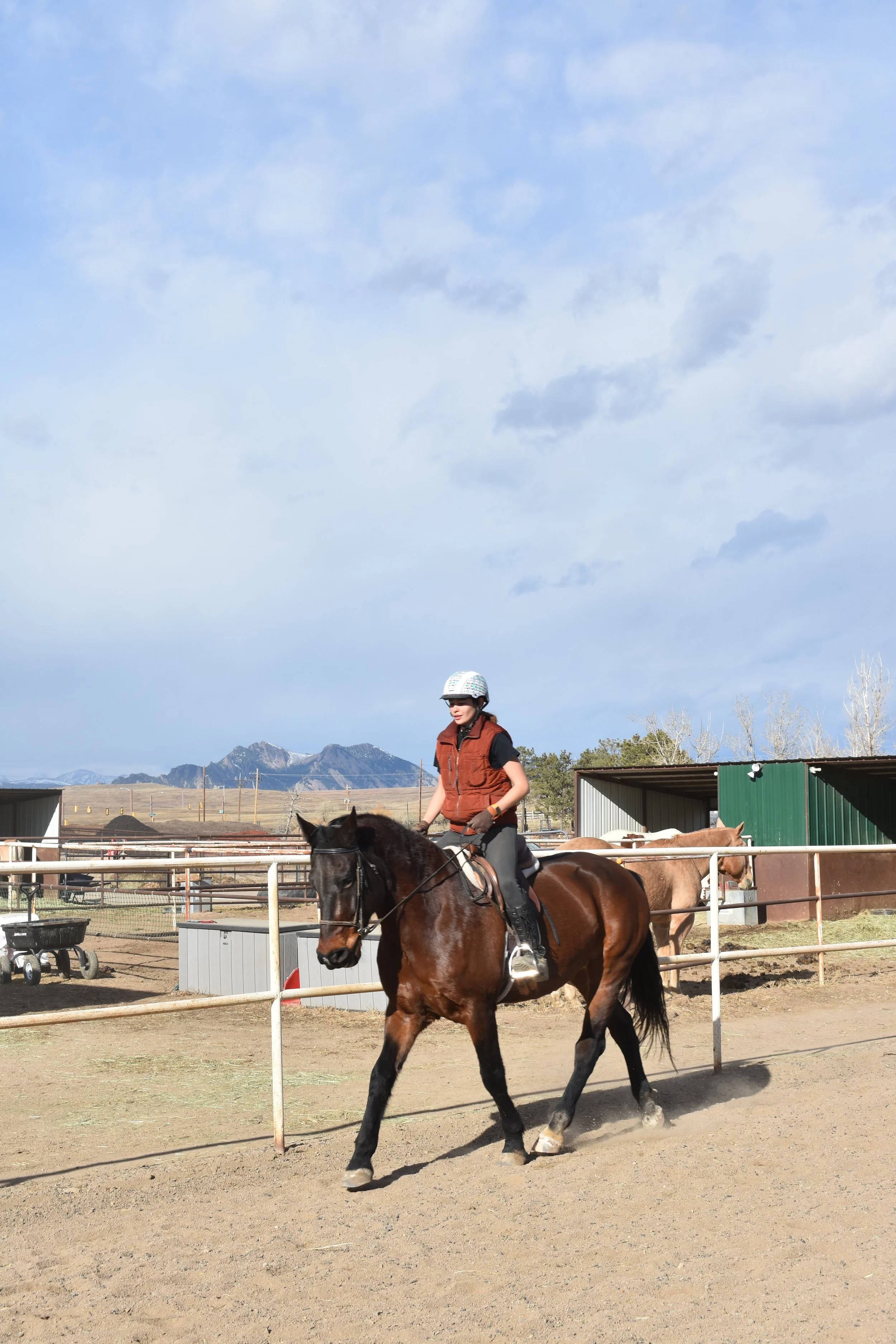 A person riding a dark brown horse in a fenced outdoor riding area with other horses and a mountain range in the background.