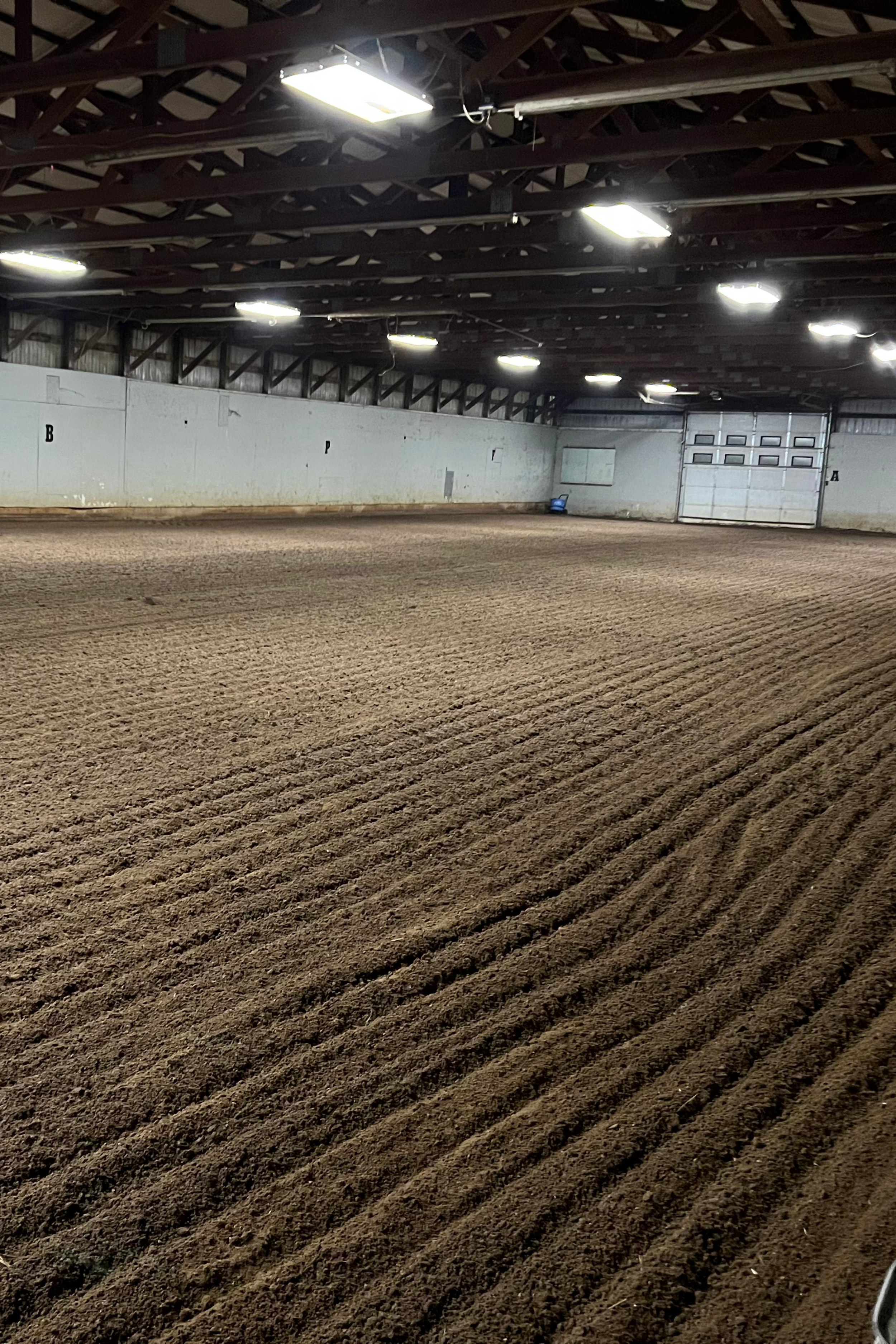 Freshly groomed indoor arena.