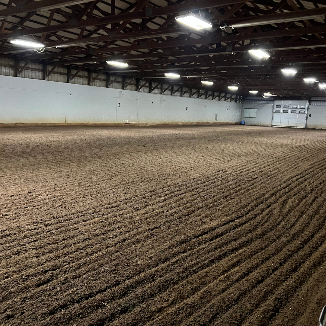 Empty indoor horse riding arena with groomed dirt ground, white wall with letters, and ceiling lights.