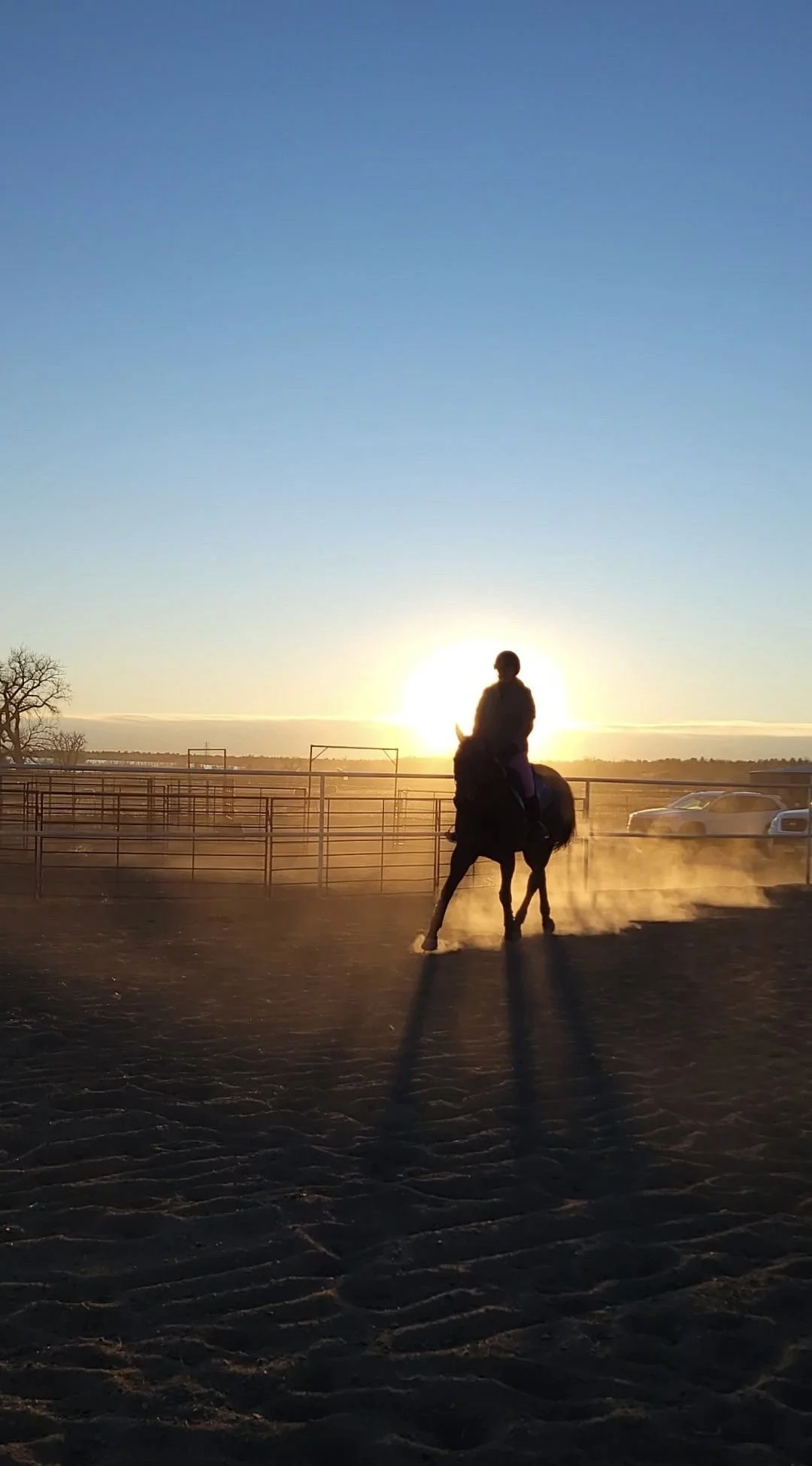 Person riding a horse in an outdoor arena during sunset, with parked cars in the background and long shadows on the ground.