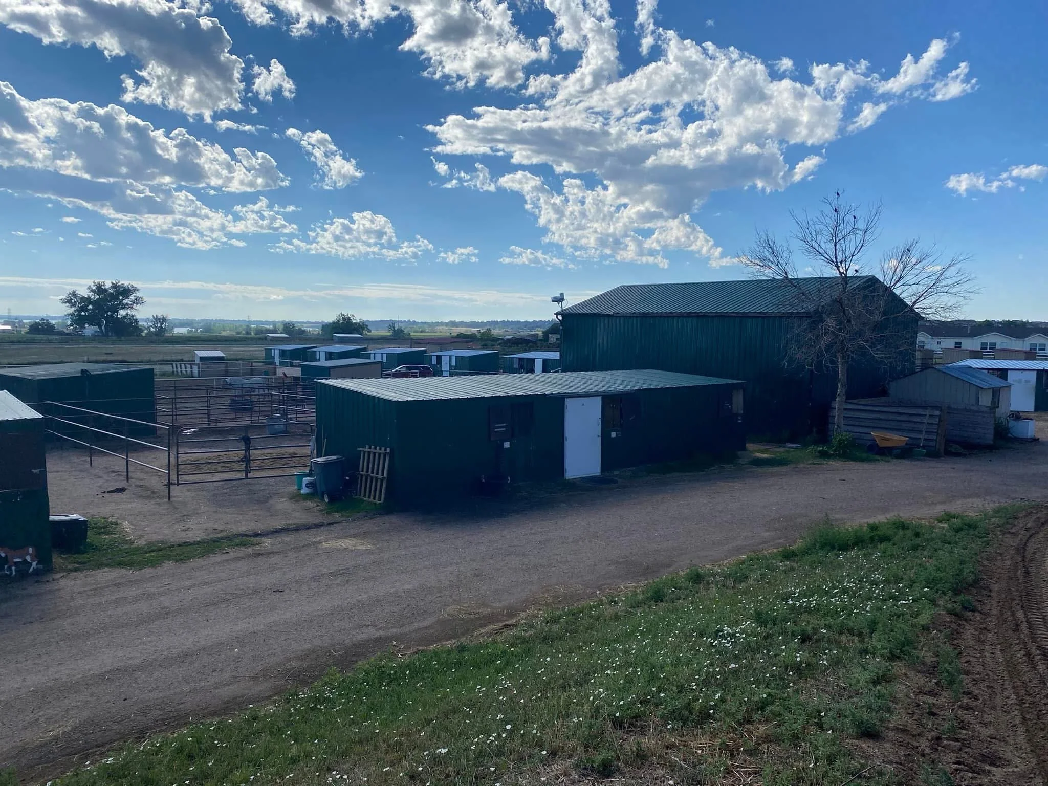 A rural farm scene with green metal barns, a leafless tree, gravel road, and open fields under a blue sky with scattered clouds.