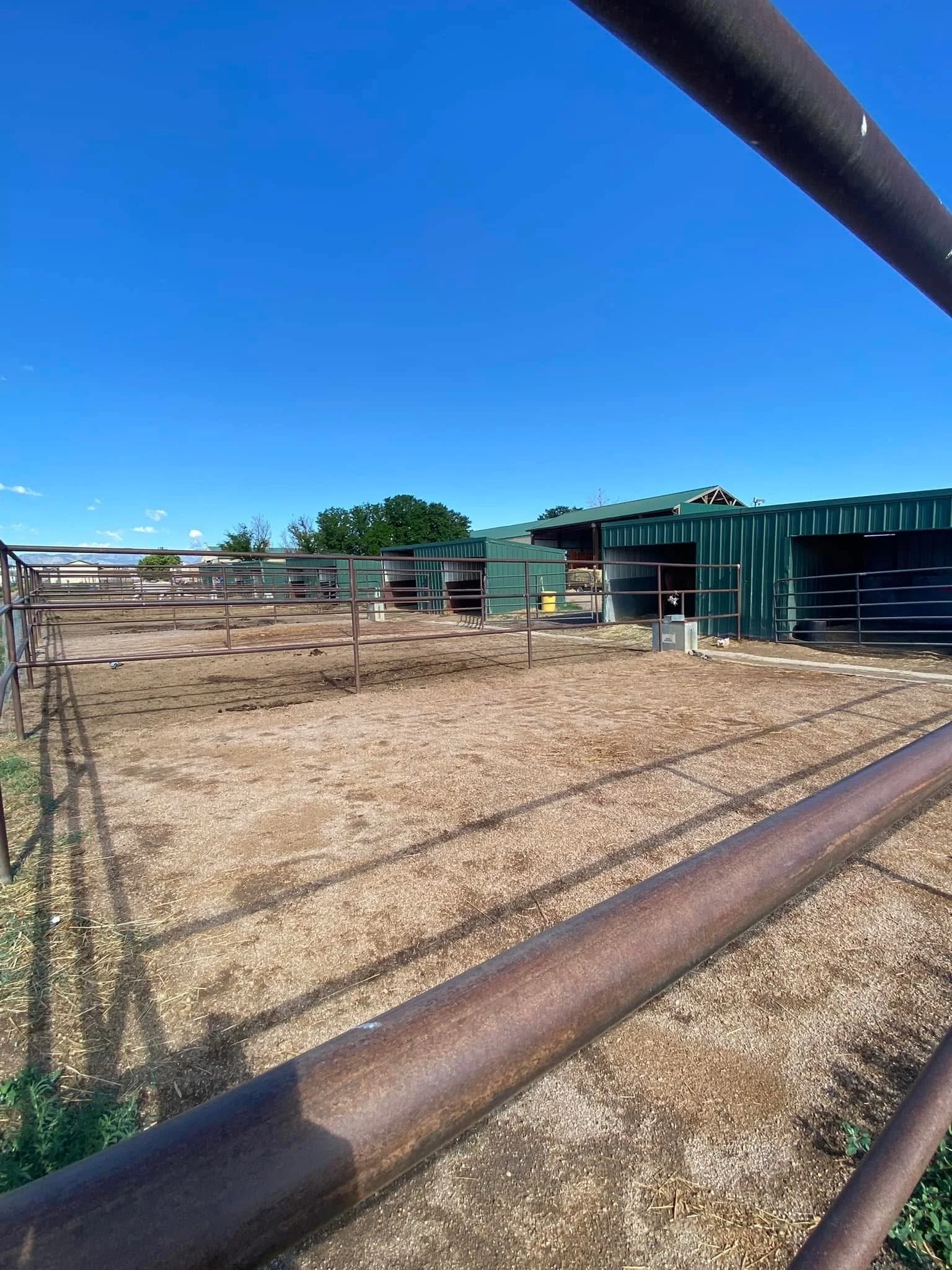 Empty outdoor animal pen with metal fencing and green structures, clear blue sky, rural farm setting.