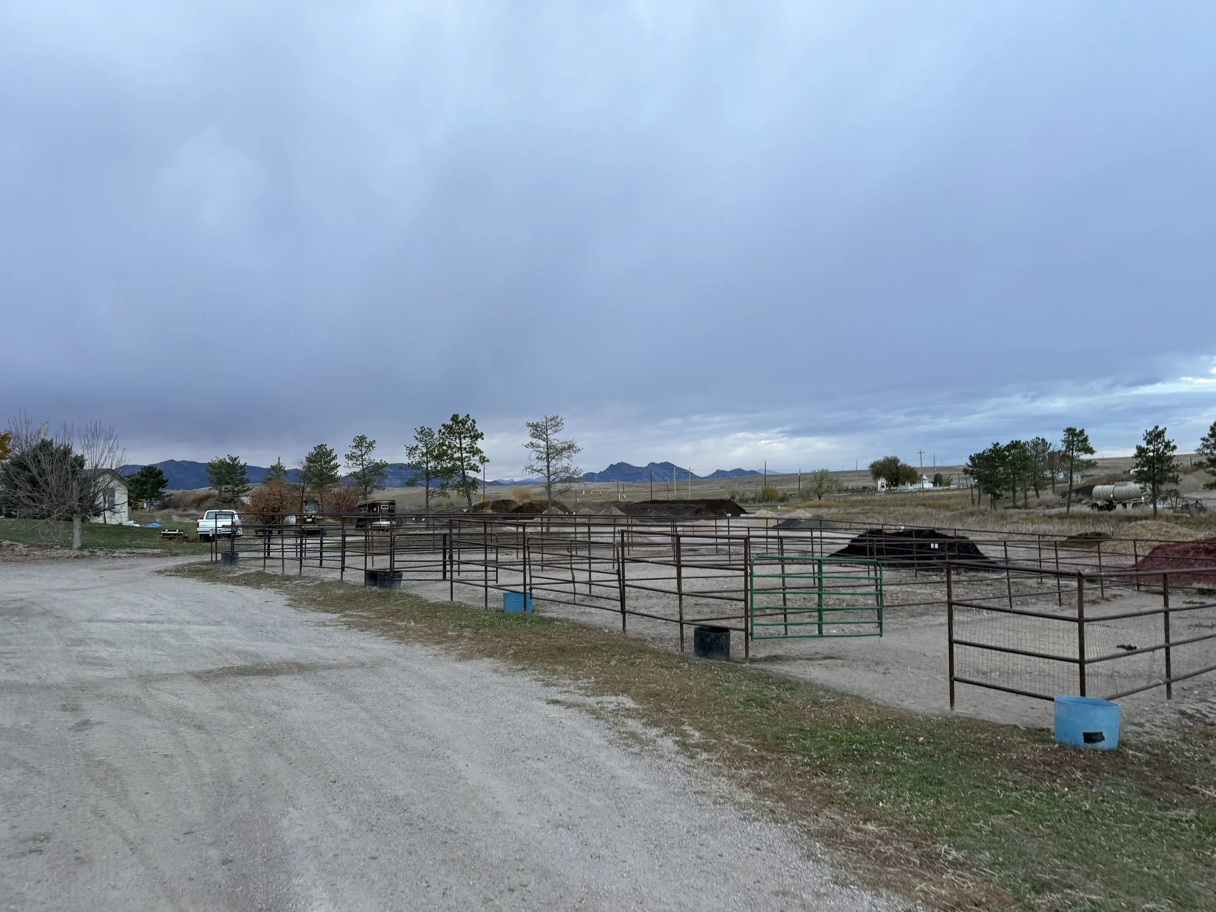 Fenced outdoor area with metal gates, dirt ground, and several trees, under a cloudy sky in a rural landscape.