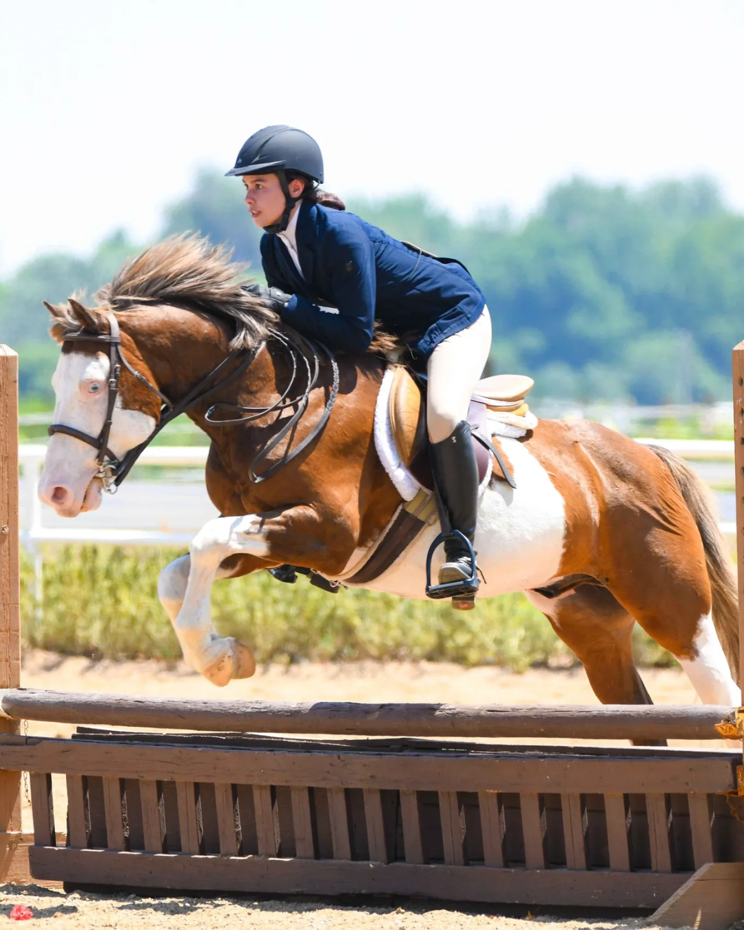 Young female equestrian rider wearing a helmet, navy jacket, white breeches, and black riding boots jumping over an obstacle on a brown and white pinto horse during a show jumping event.
