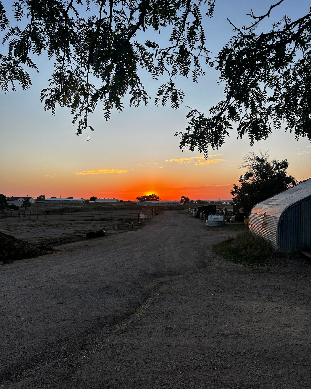 Sunrise at A Rising Star Equestrian Center.