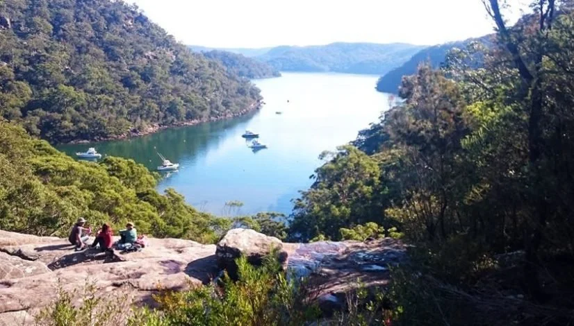 Ku-ring-gai Chase National Park: Wildlife &amp; nature from the water