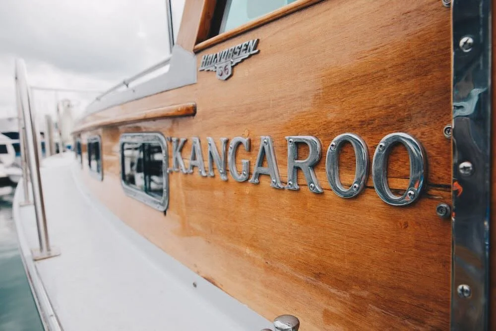 Kangaroo Website - 10 of 12.jpeg