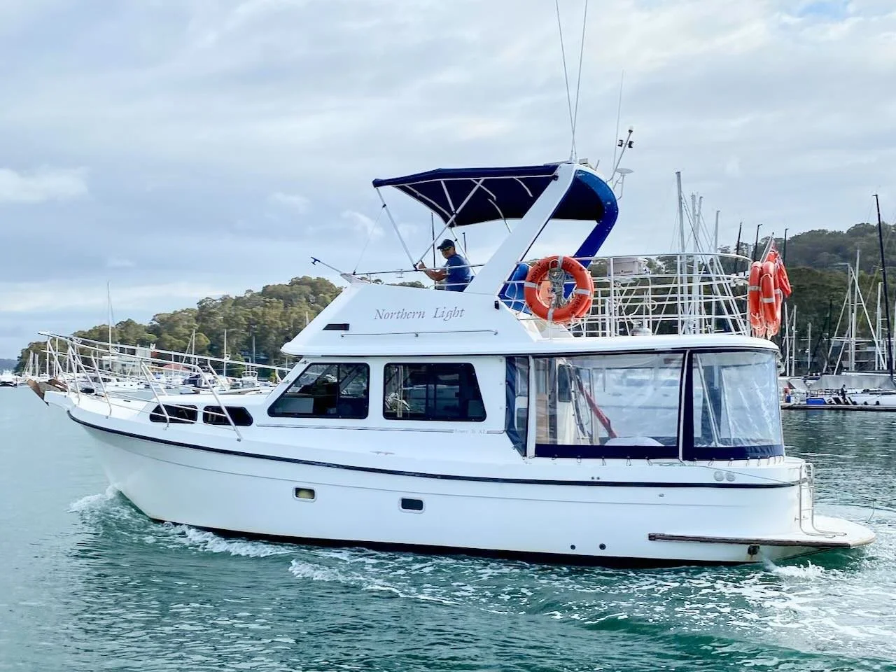 Northern Light Website - 1 of 15.jpeg