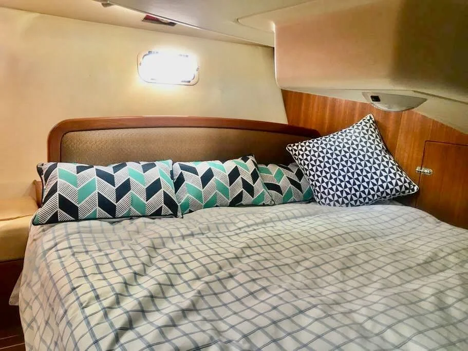 Sha Meduza Website - 10 of 14.jpeg