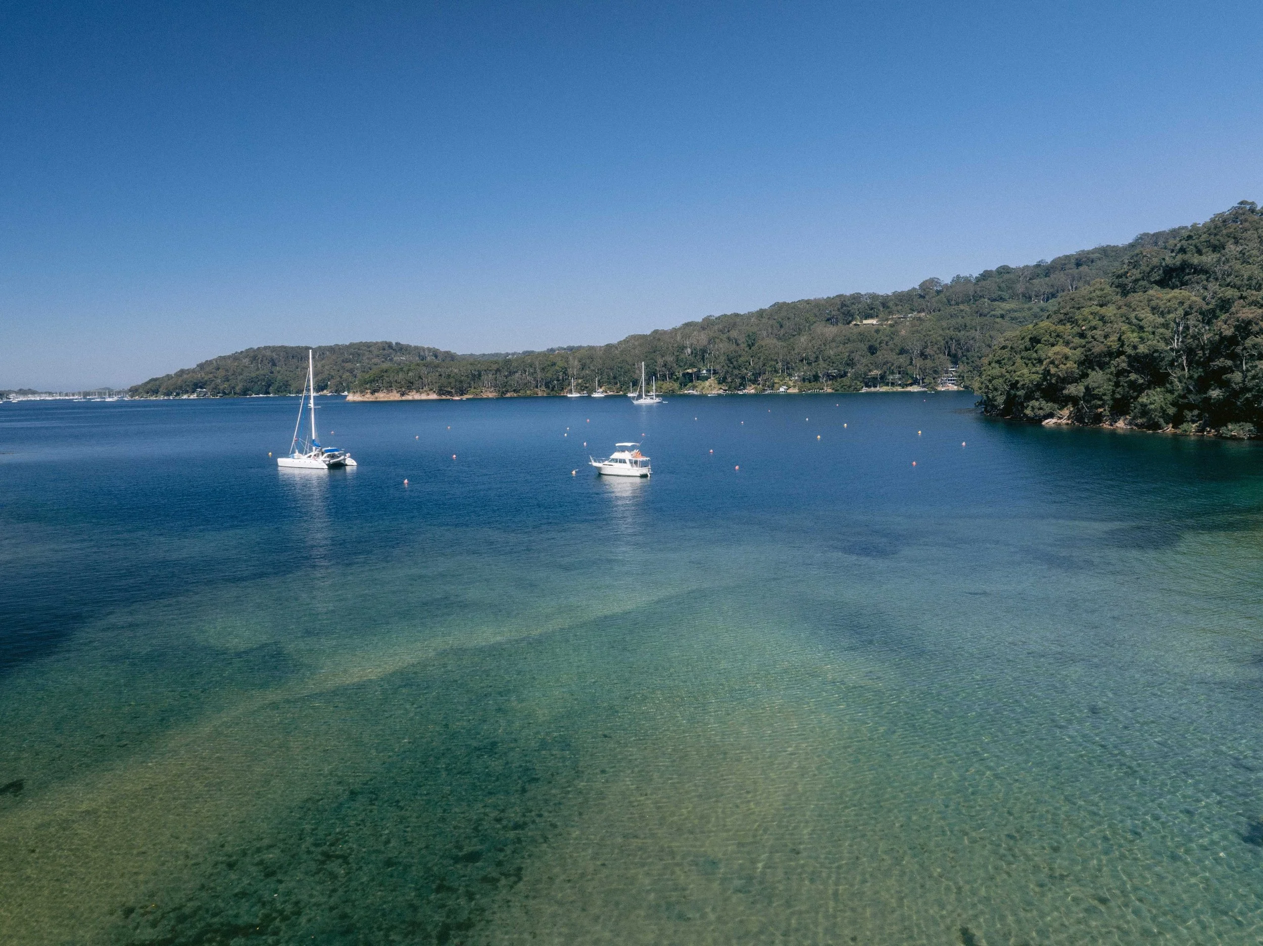 Calm ocean with two sailboats floating near the shore, a forested hill in the background under a clear blue sky. Church Point Charter self-drive charter boat hire Pittwater