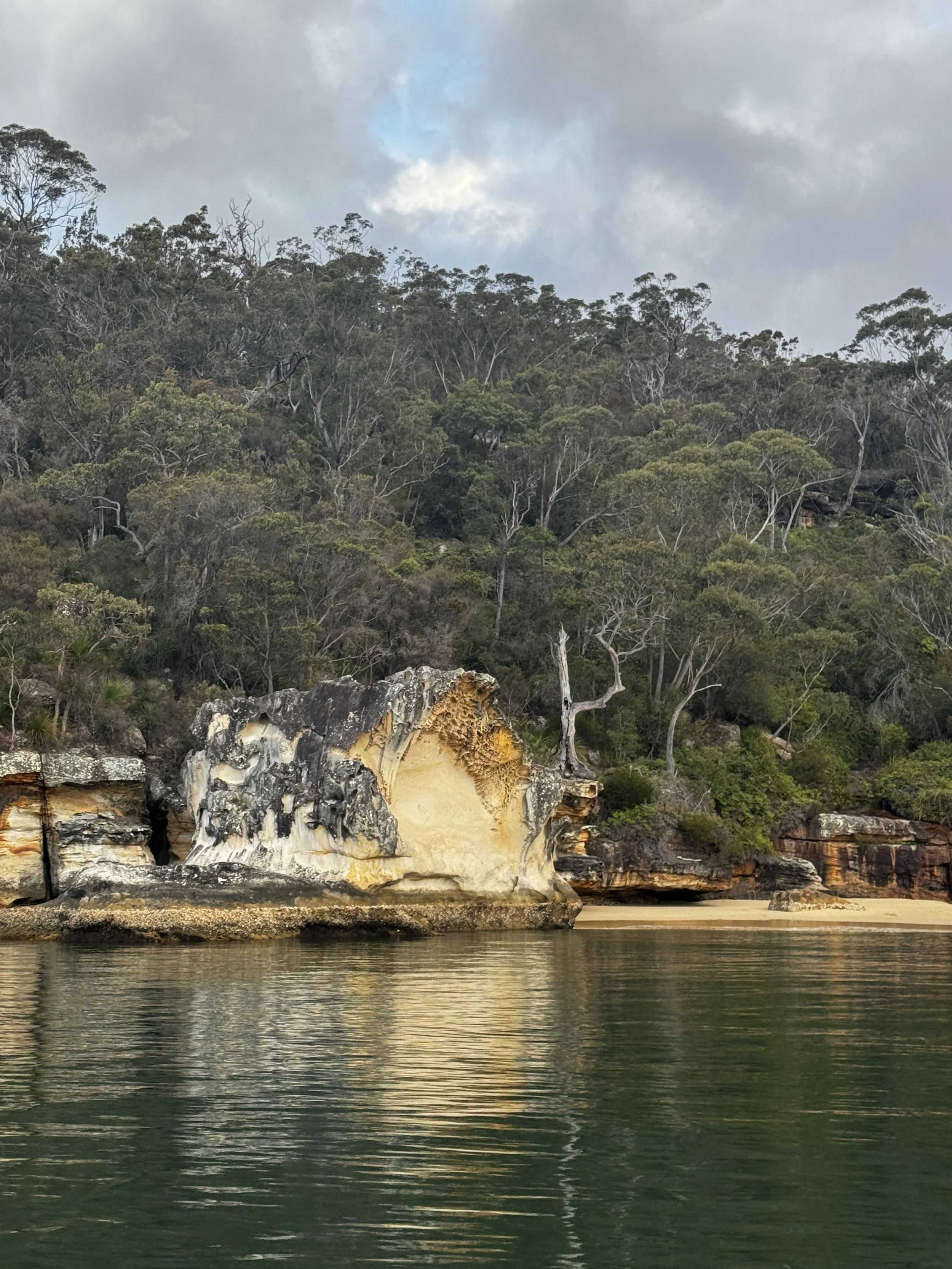 Calm river in front of a rocky shoreline with large rock formations, leading up to a dense green forest on a hillside with trees and an overcast sky. Church Point Charter self-drive charter boat hire Pittwater