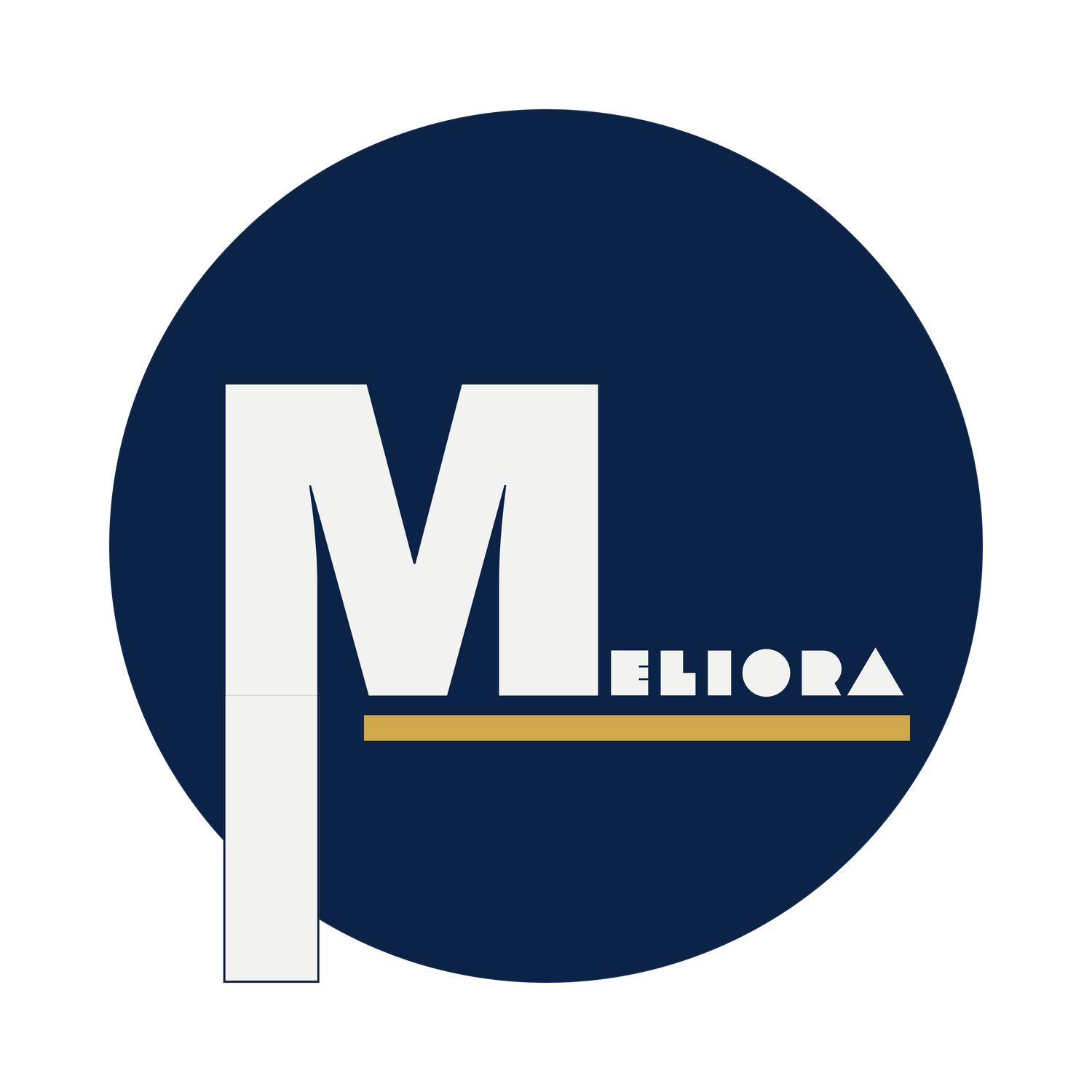 Meliora Holdings Inc