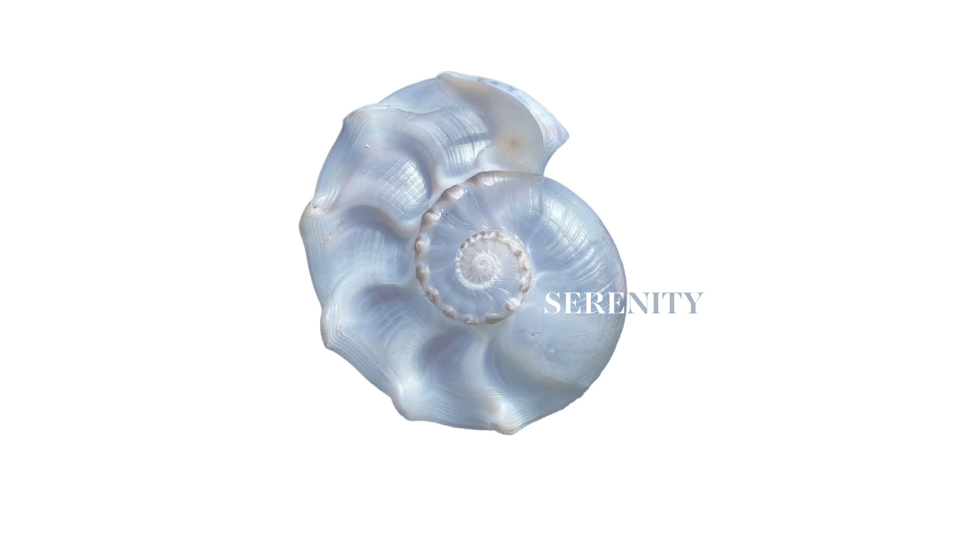 SERENITY-t.png