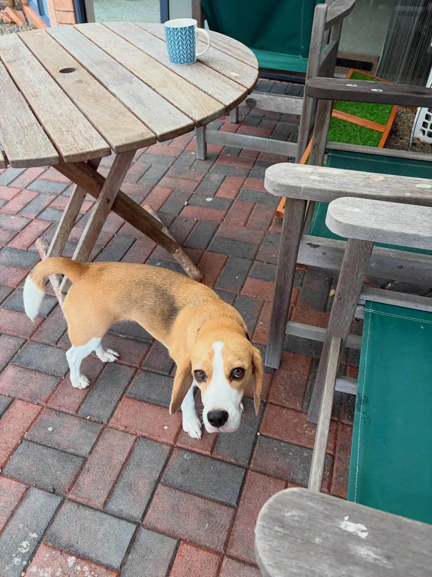 To prepare for Cyclone Vaianu, I tucked all the outdoor furniture into a corner of a covered area under a pargola. But luckily our area wasn&rsquo;t affected by the cyclone much. Hope you were safe too.
#auckland #newzealand #tropicalcyclone #prepara