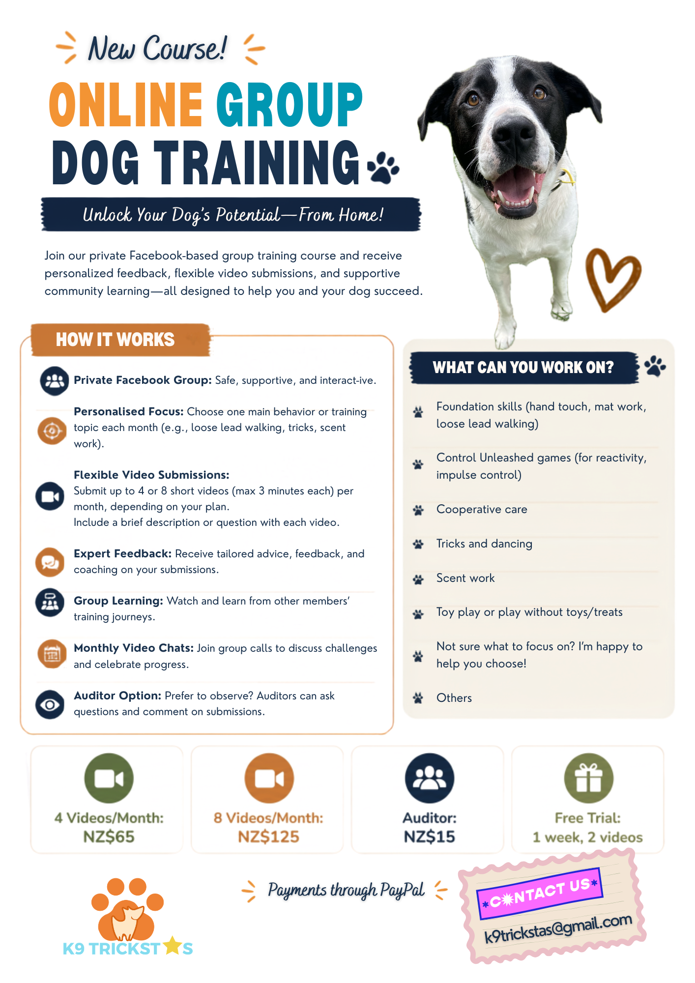 Online Group Dog Training Course