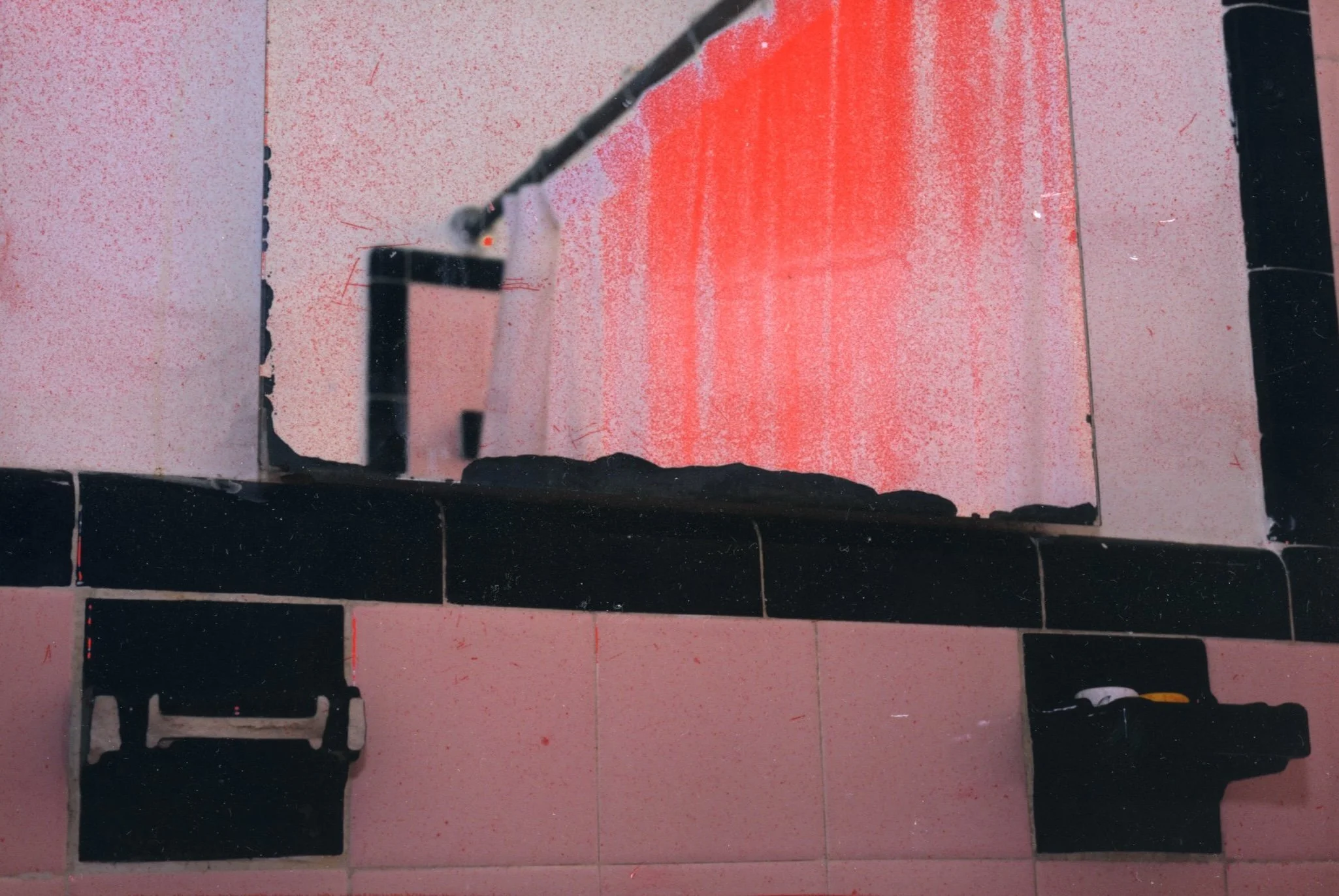 Dyed: Bathroom of my Flesh