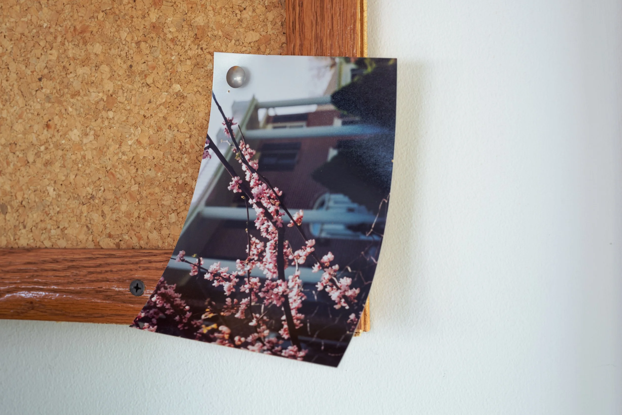 Bulletin Board in the Sunroom