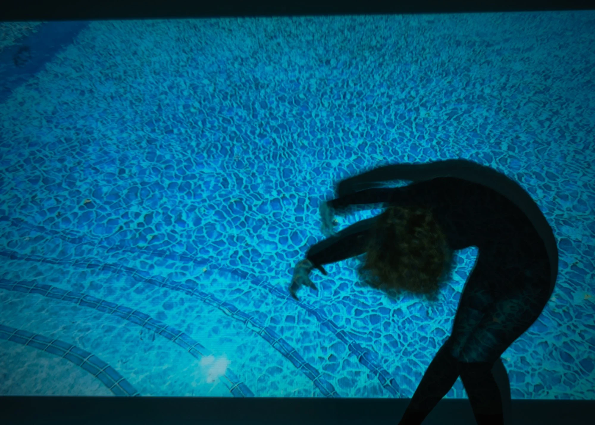 Wolf Spider in the Pool