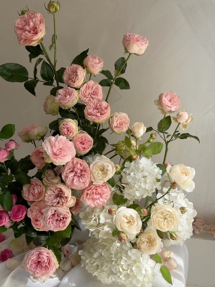 ✨ Ethereal &middot; Romantic &middot; Untamed ✨
More of this energy please!