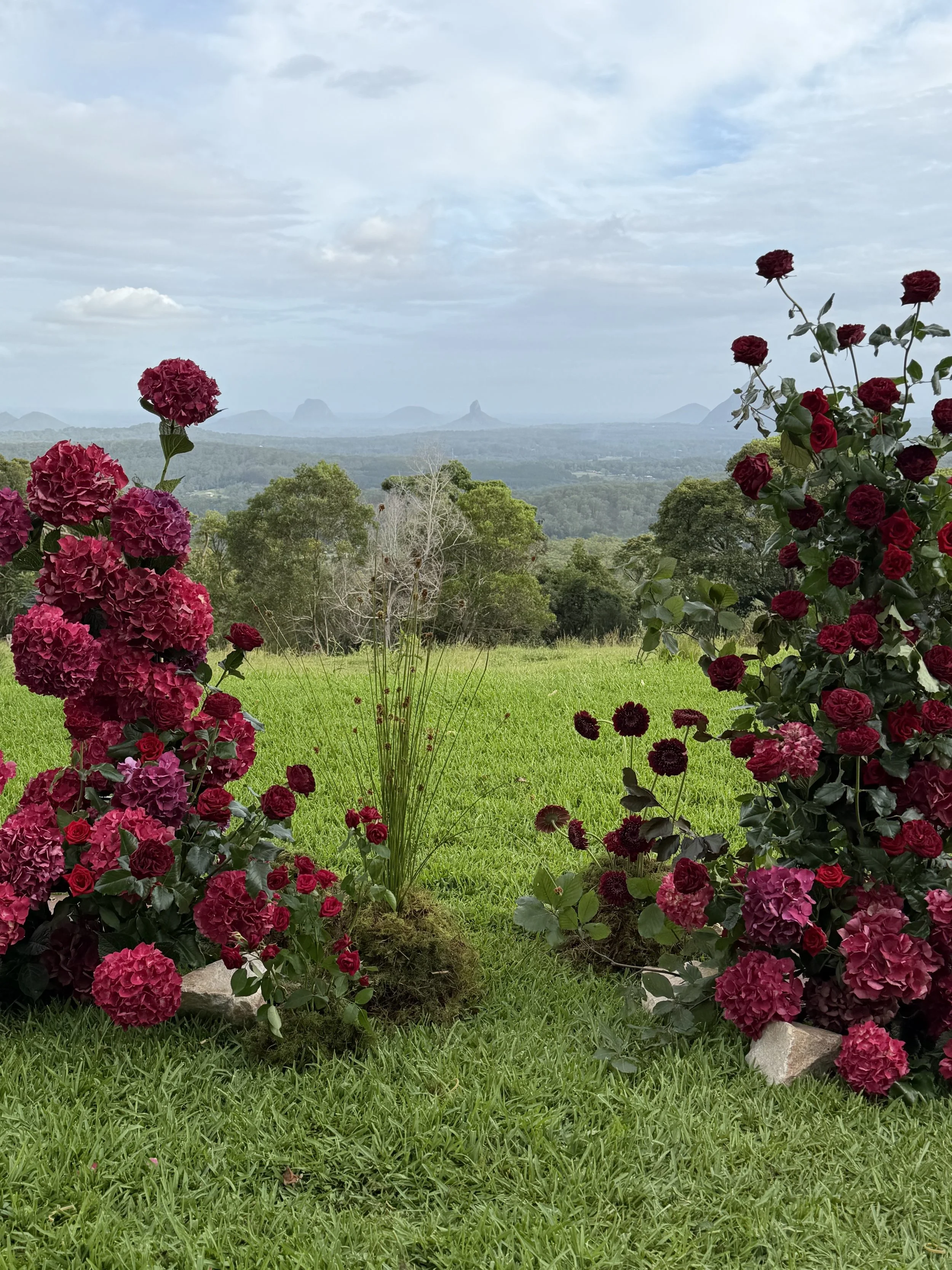 Burgundy Blooms: The 2026 Floral Colour Trend You’ll See Everywhere