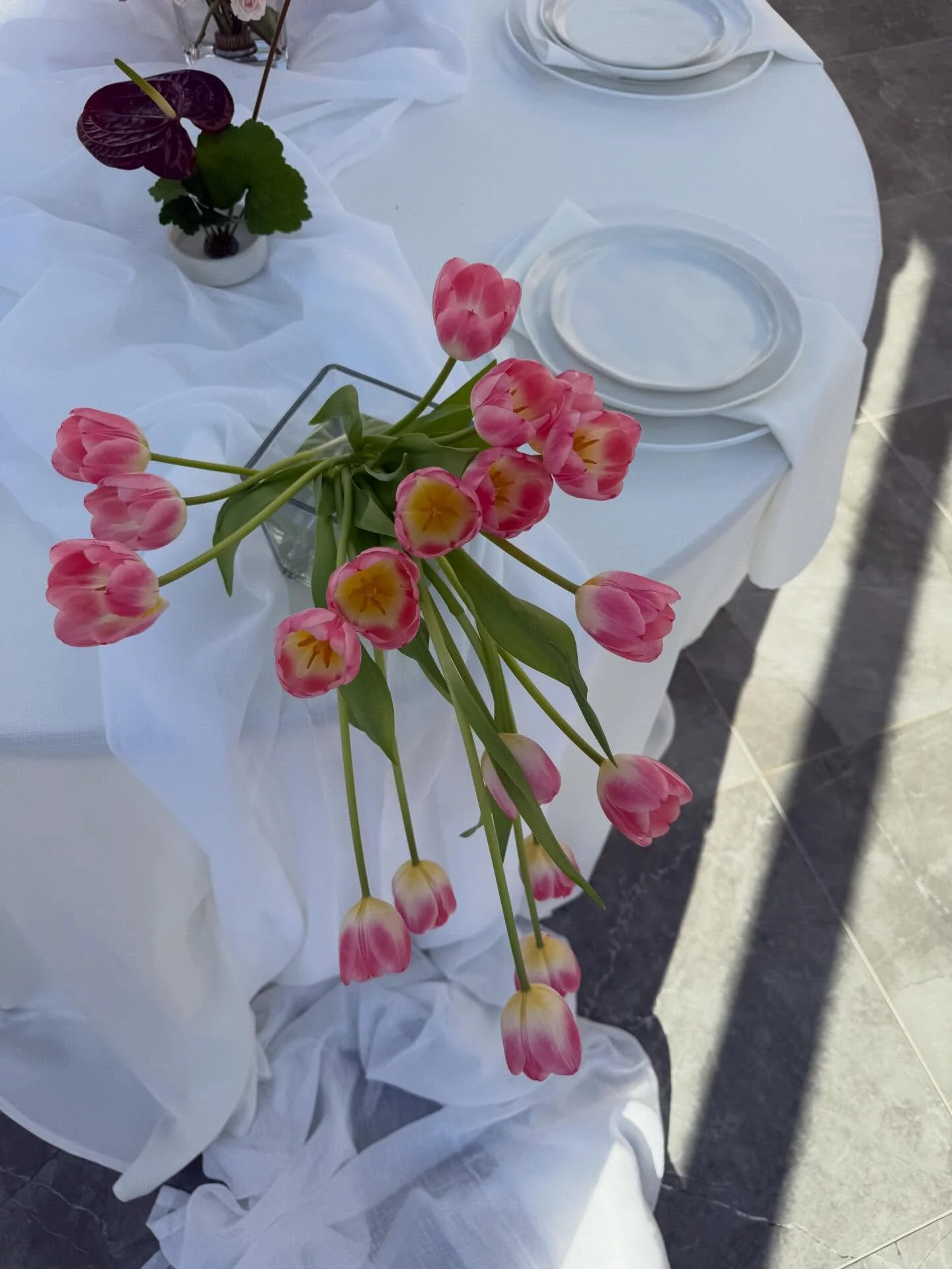 Our prediction for 2026&rsquo;s most popular bloom&hellip; 

🌷 TULIPS 🌷