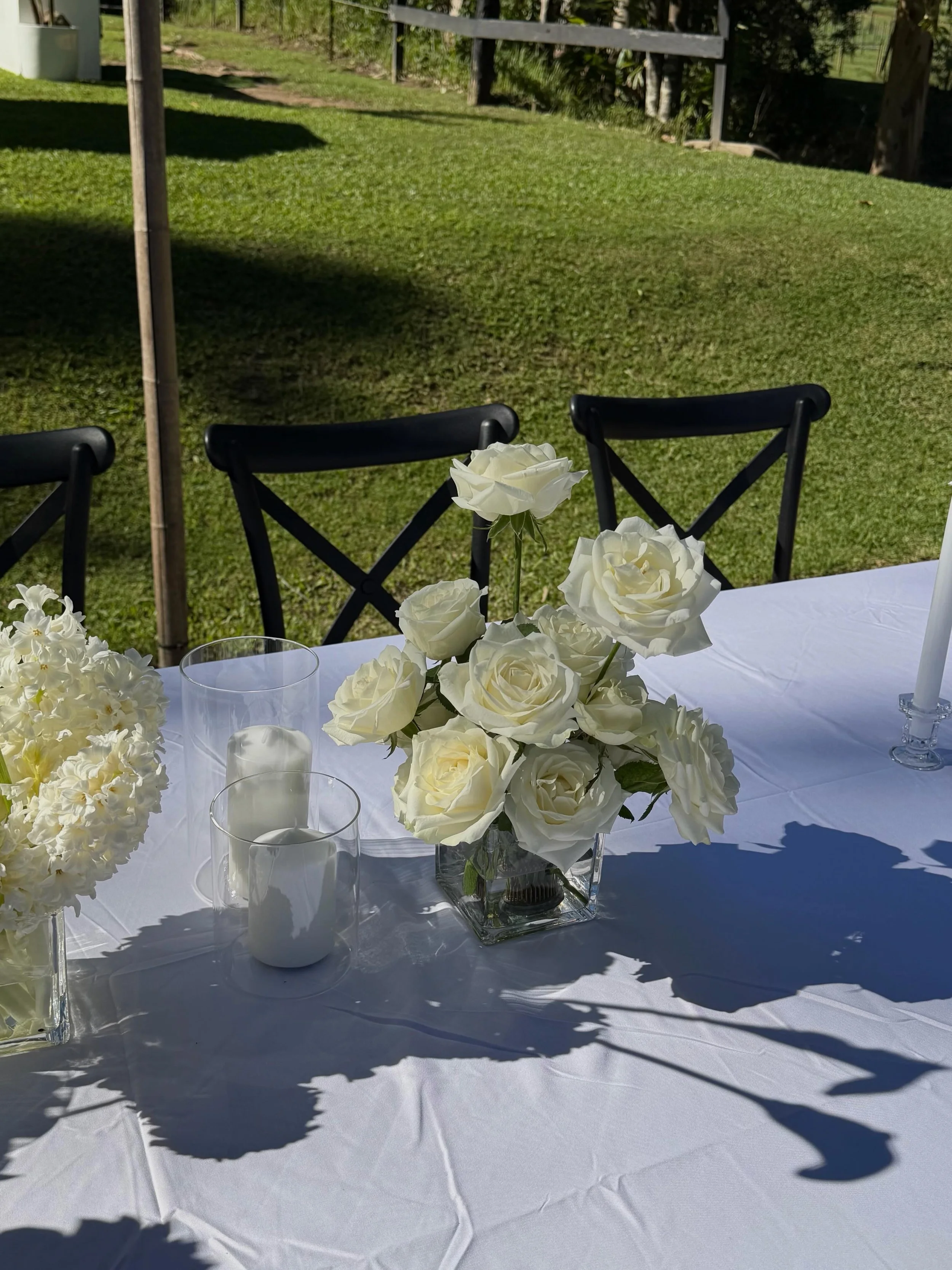 ✨

Venue ~ @palmcreekestate