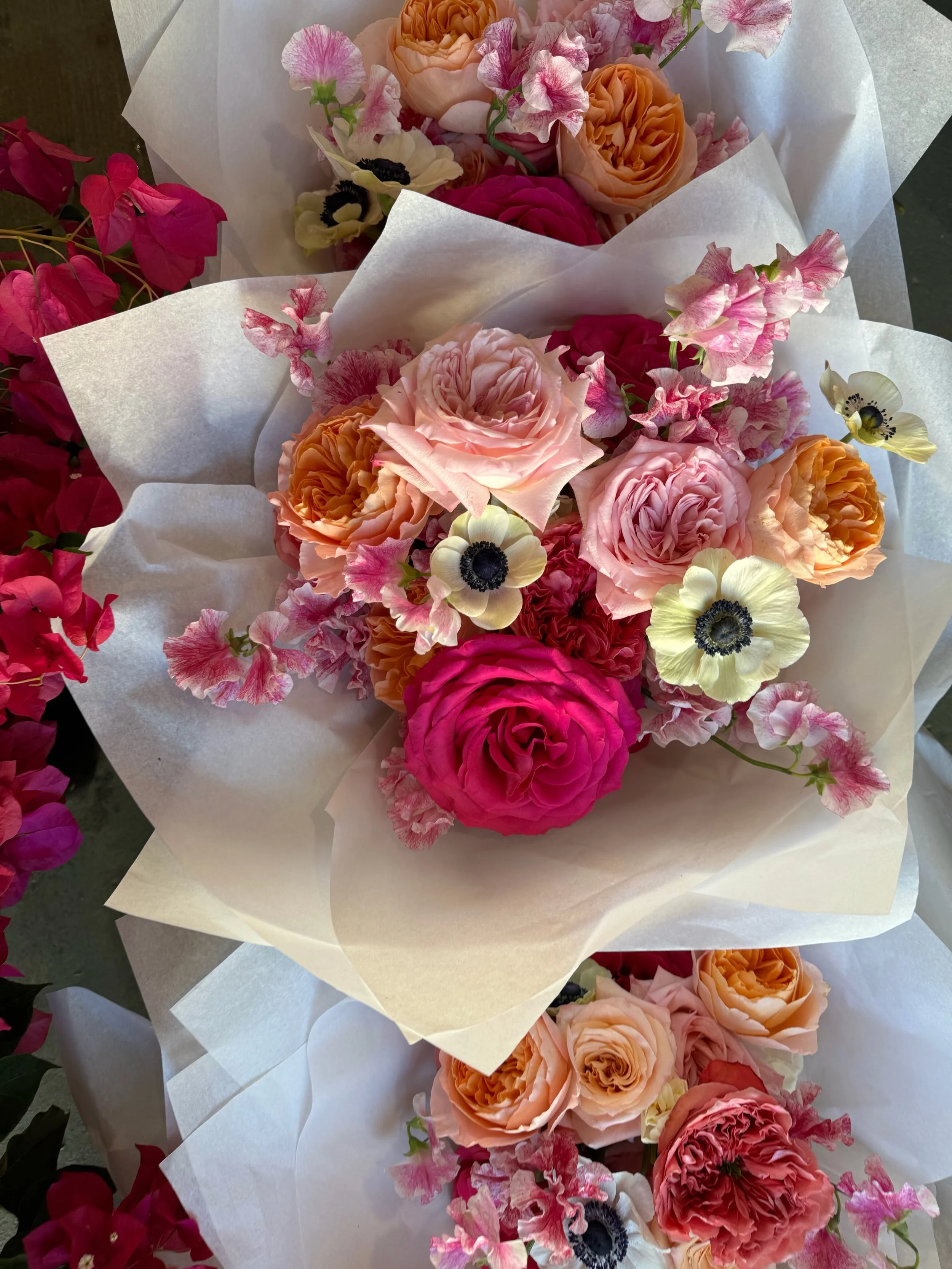 Still not over these blooms for Meg and her girls 🎀🌸💗