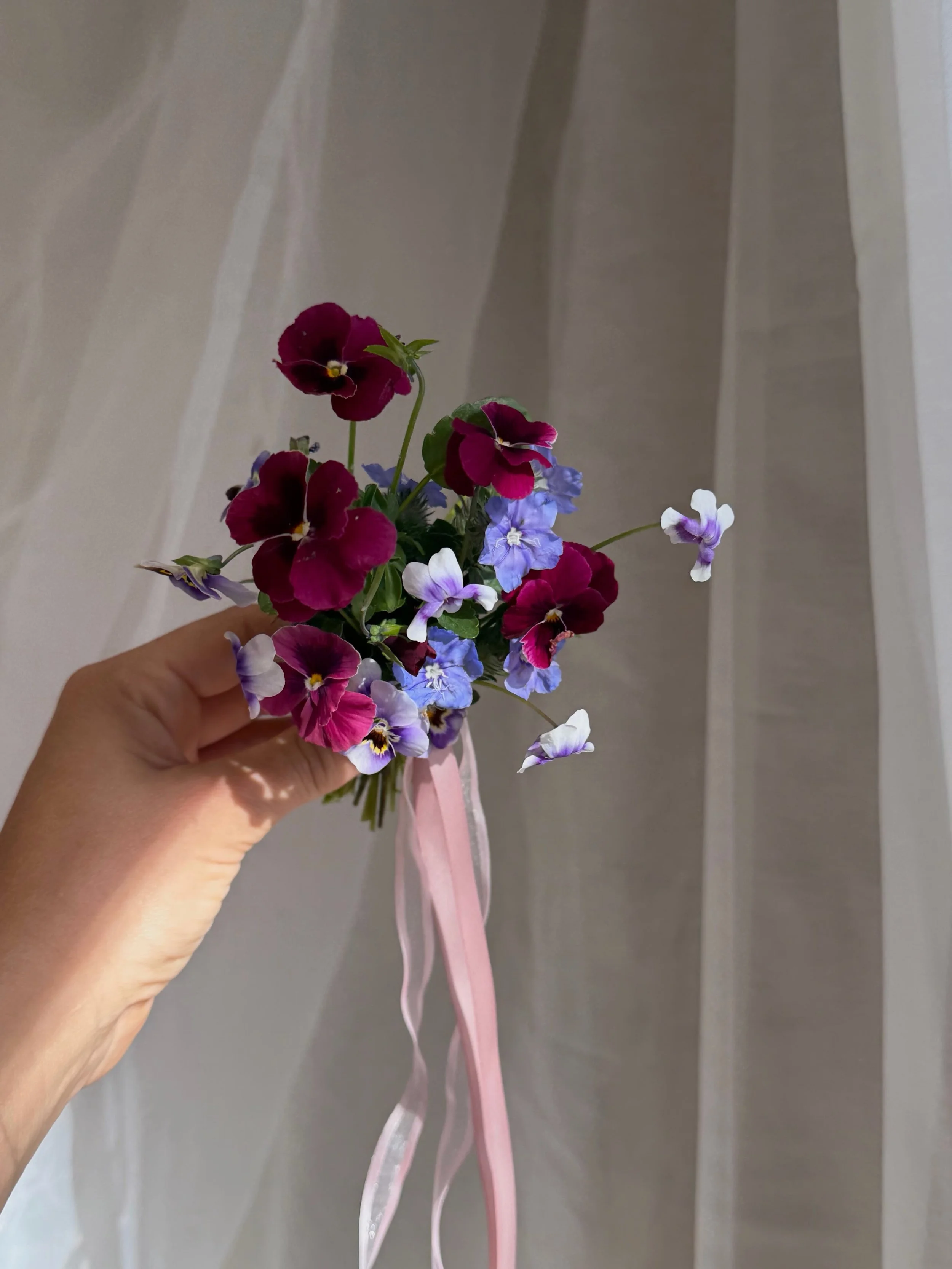 Violas &amp; Violets 🧚&zwj;♂️
A handful of homegrown happiness.