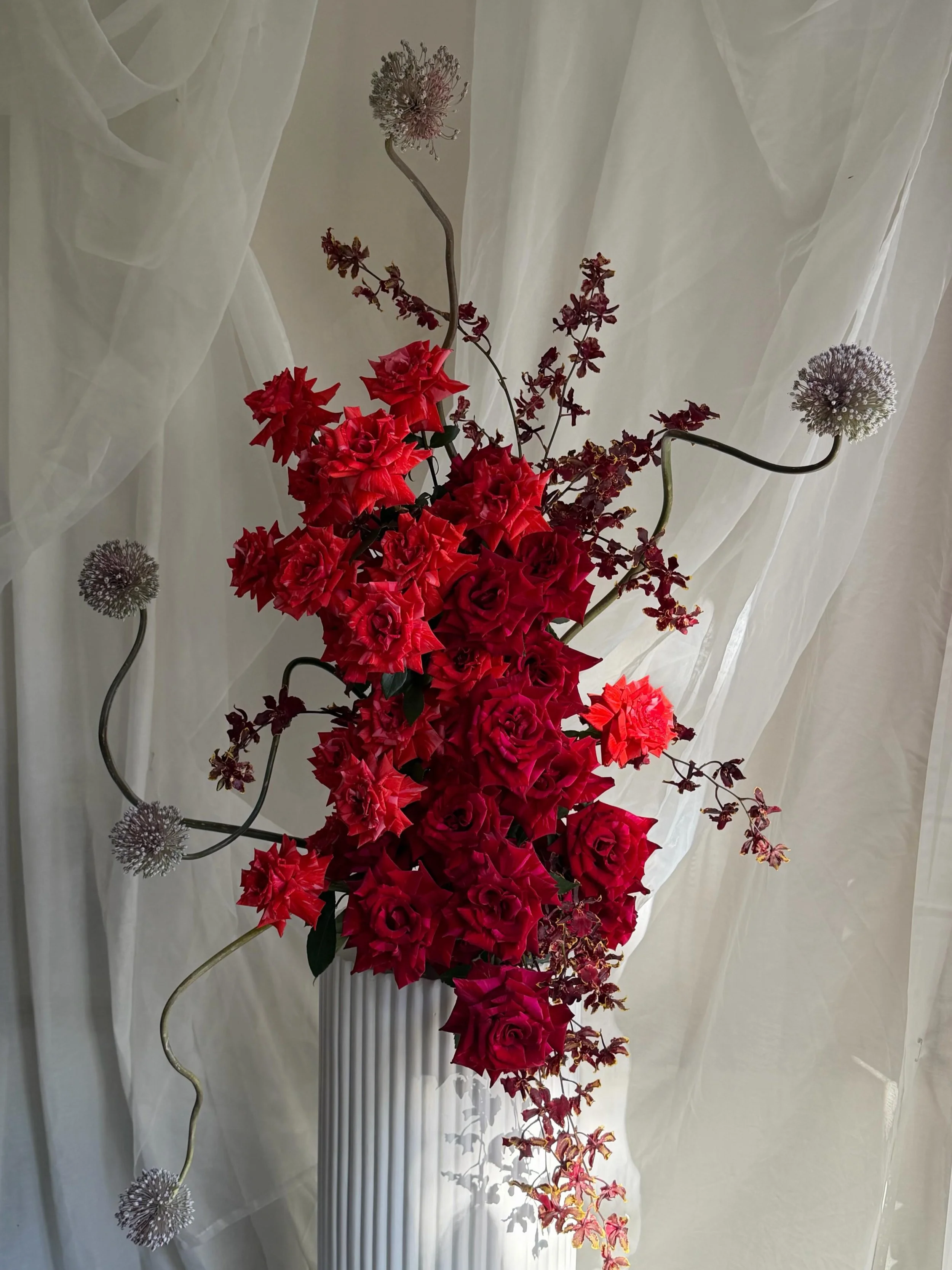 ❤️&zwj;🔥 for all the red rose lovers ❤️&zwj;🔥