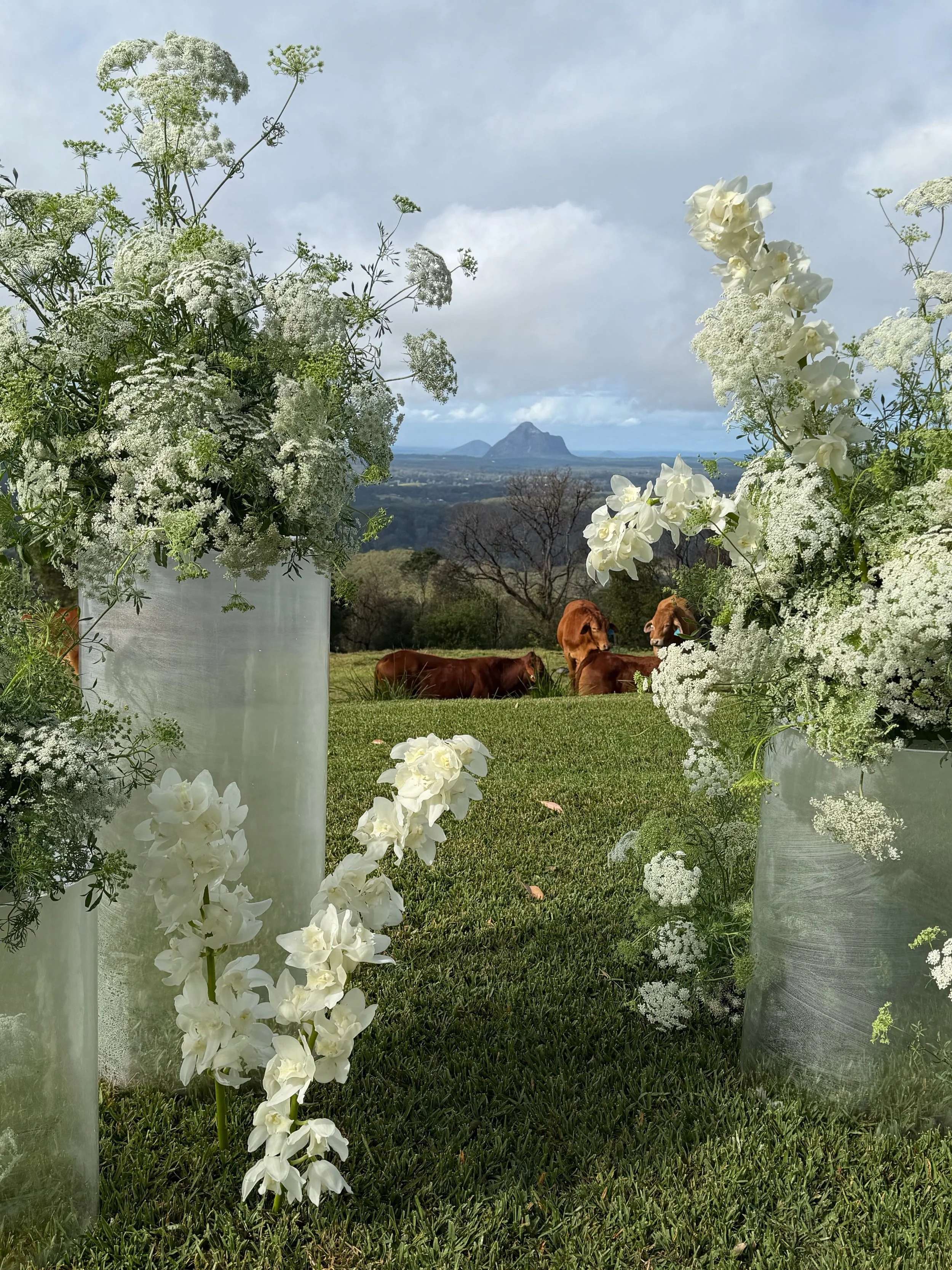 For Maleny Orchard 🕊️ This one felt really special. 

Venue ~ @malenyorchard 
Floral Concept ~ @ohhoneyflorals 
Plinth Hire ~ @sunshineweddingsau 
Flower Supplier ~ @sunnycoast.flowermarket
