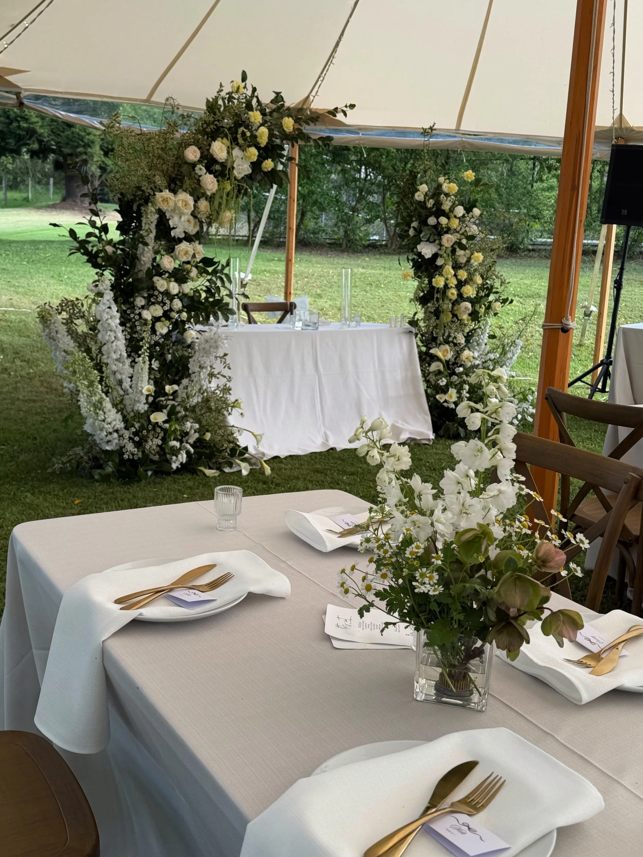 The Reception 🌼🕊️✨
