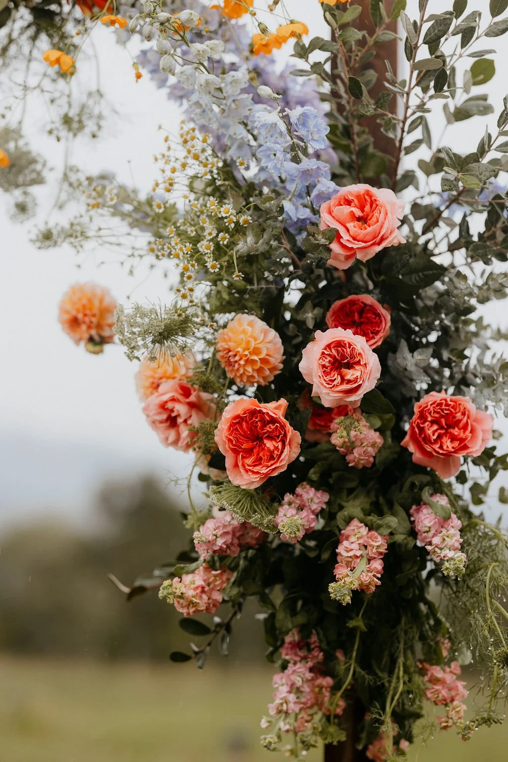 christabelsteve_ceremony_51.jpg