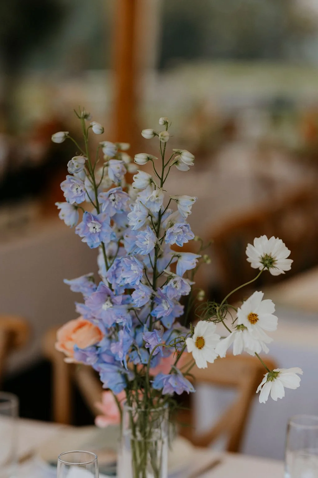 christabelsteve_ceremony_3.jpg