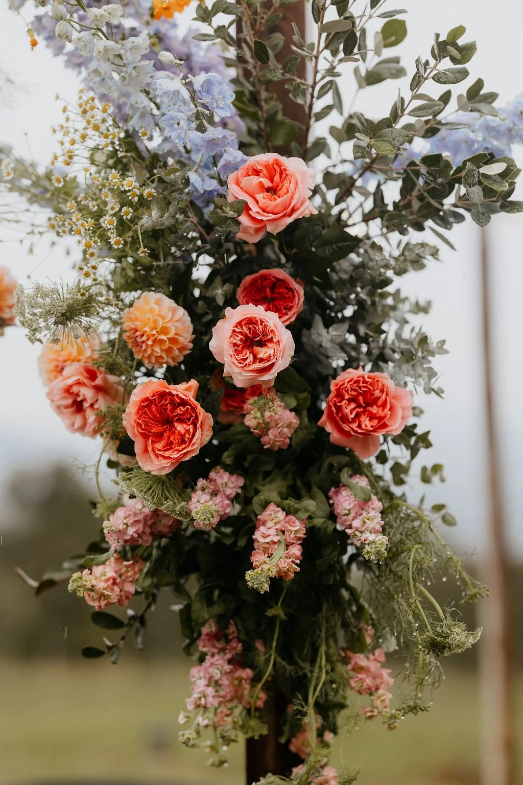 christabelsteve_ceremony_50.jpg