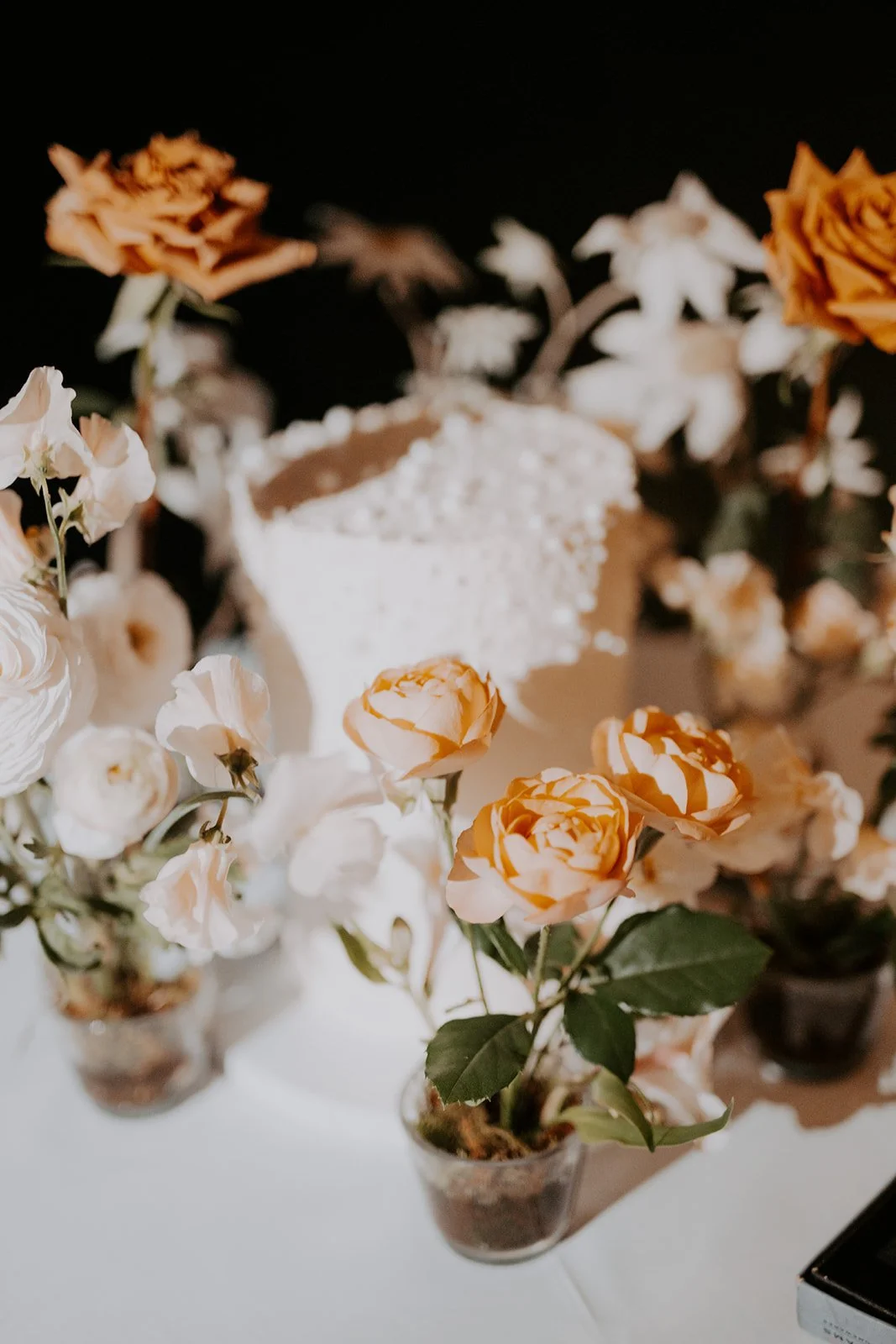 Ashli&Jayden (1240 of 1518).jpg