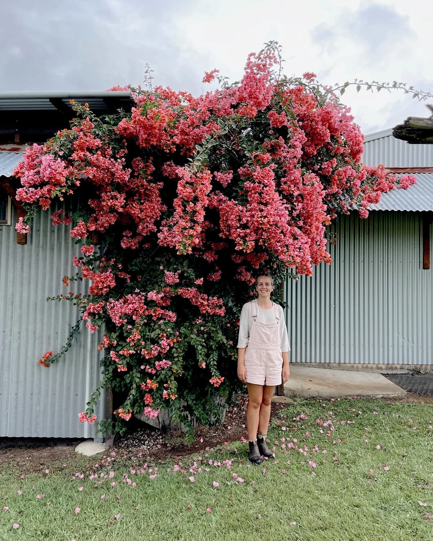 Sunshine Coast event florist owner Samia statndinng under bougainvillea tree at Kenilworth