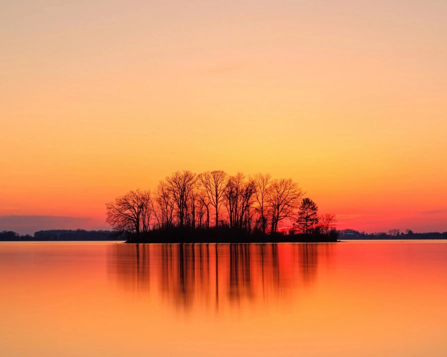 Beautiful scene with trees in background on a river with evening sunlight, orange colours