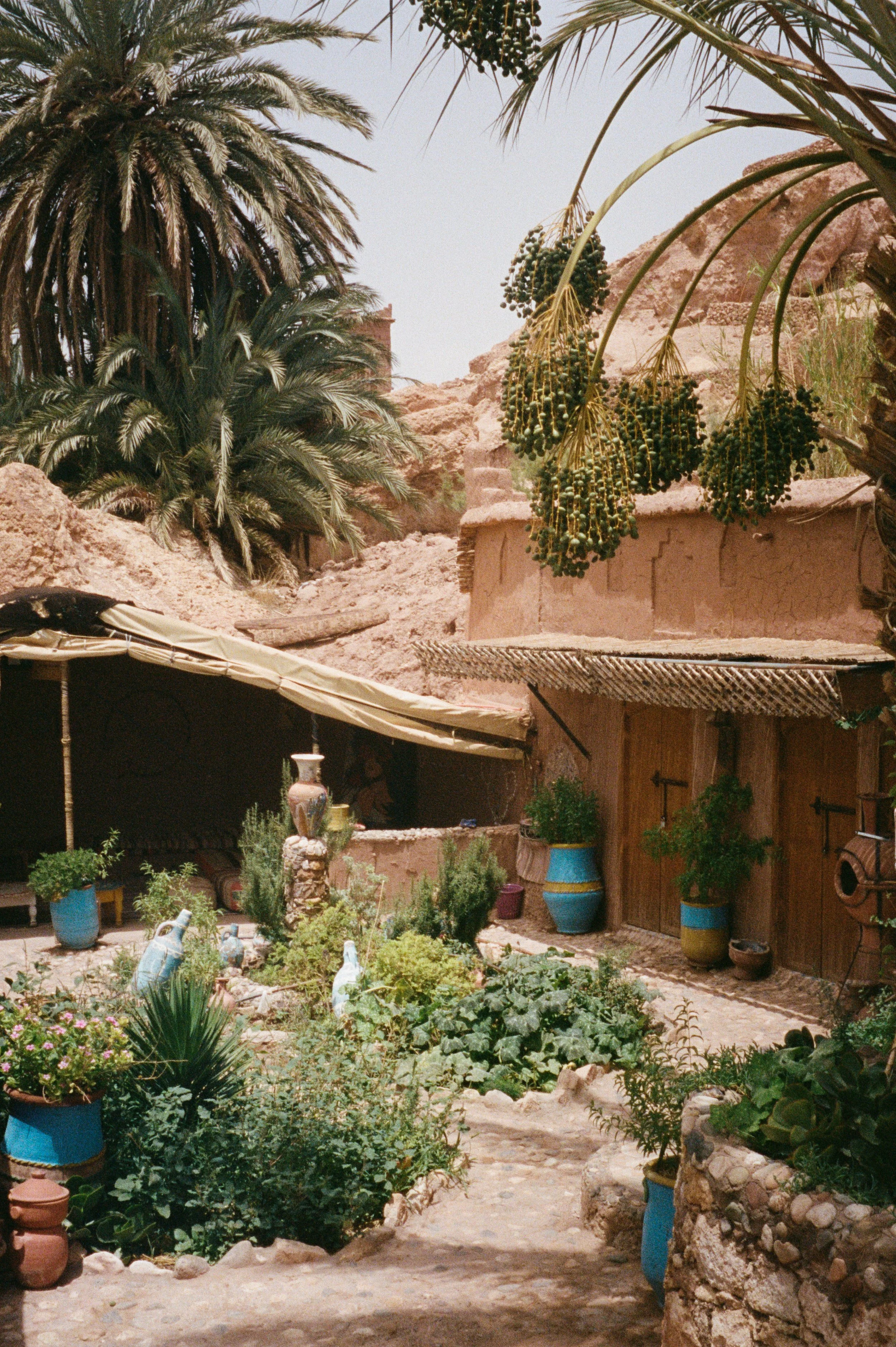 Photo 19-8-22, 3 49 04 pm.jpg