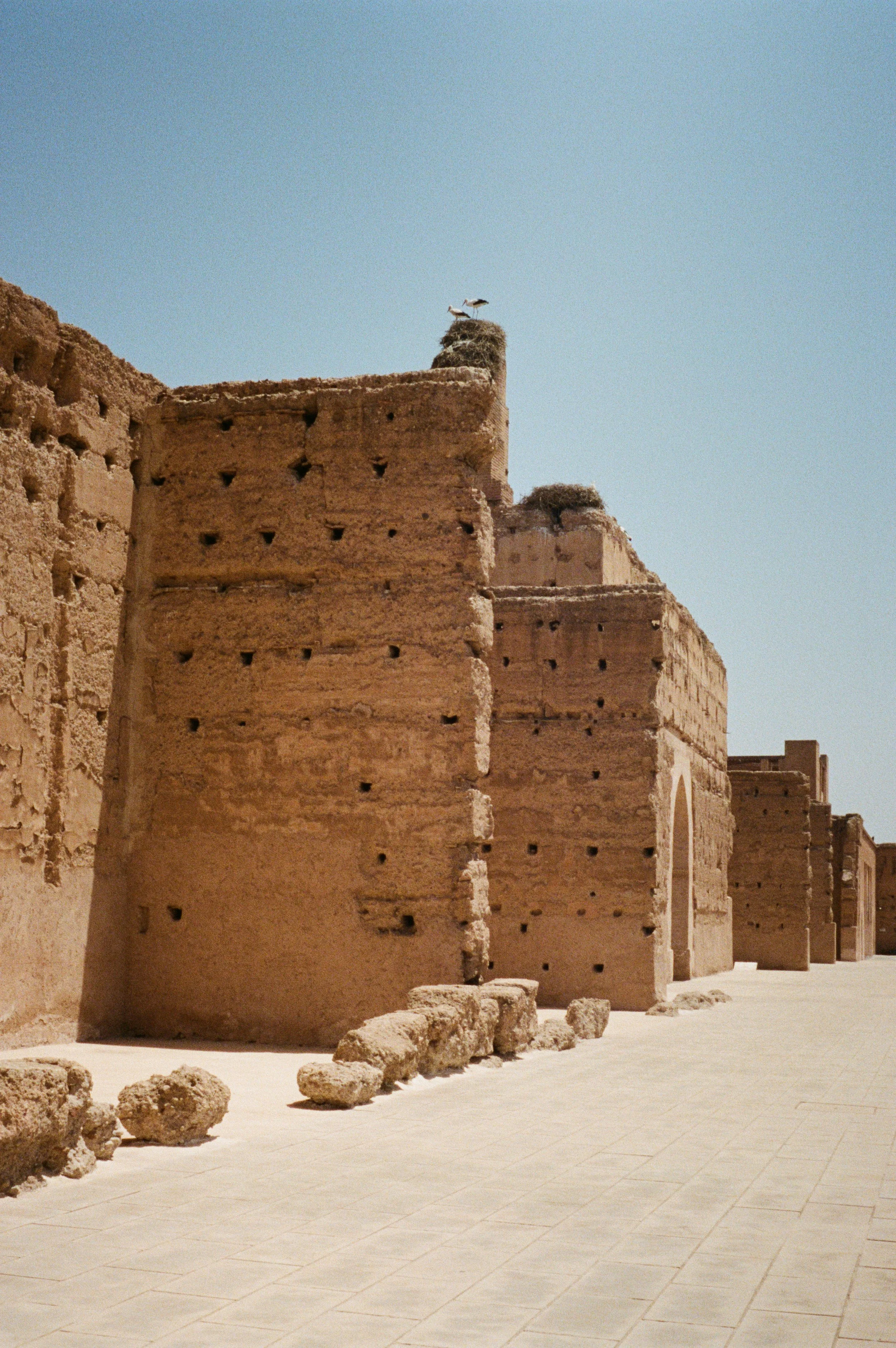 Photo 23-8-22, 8 05 31 am (2).jpg