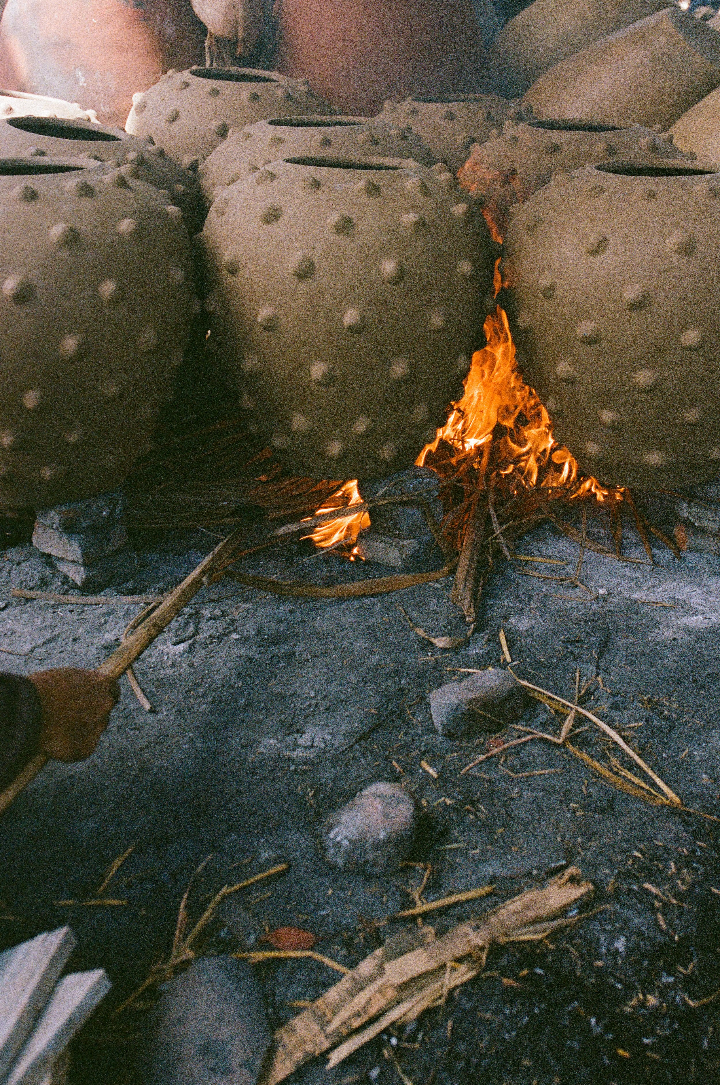 Photo 25-9-2024, 9 53 07 AM.jpg