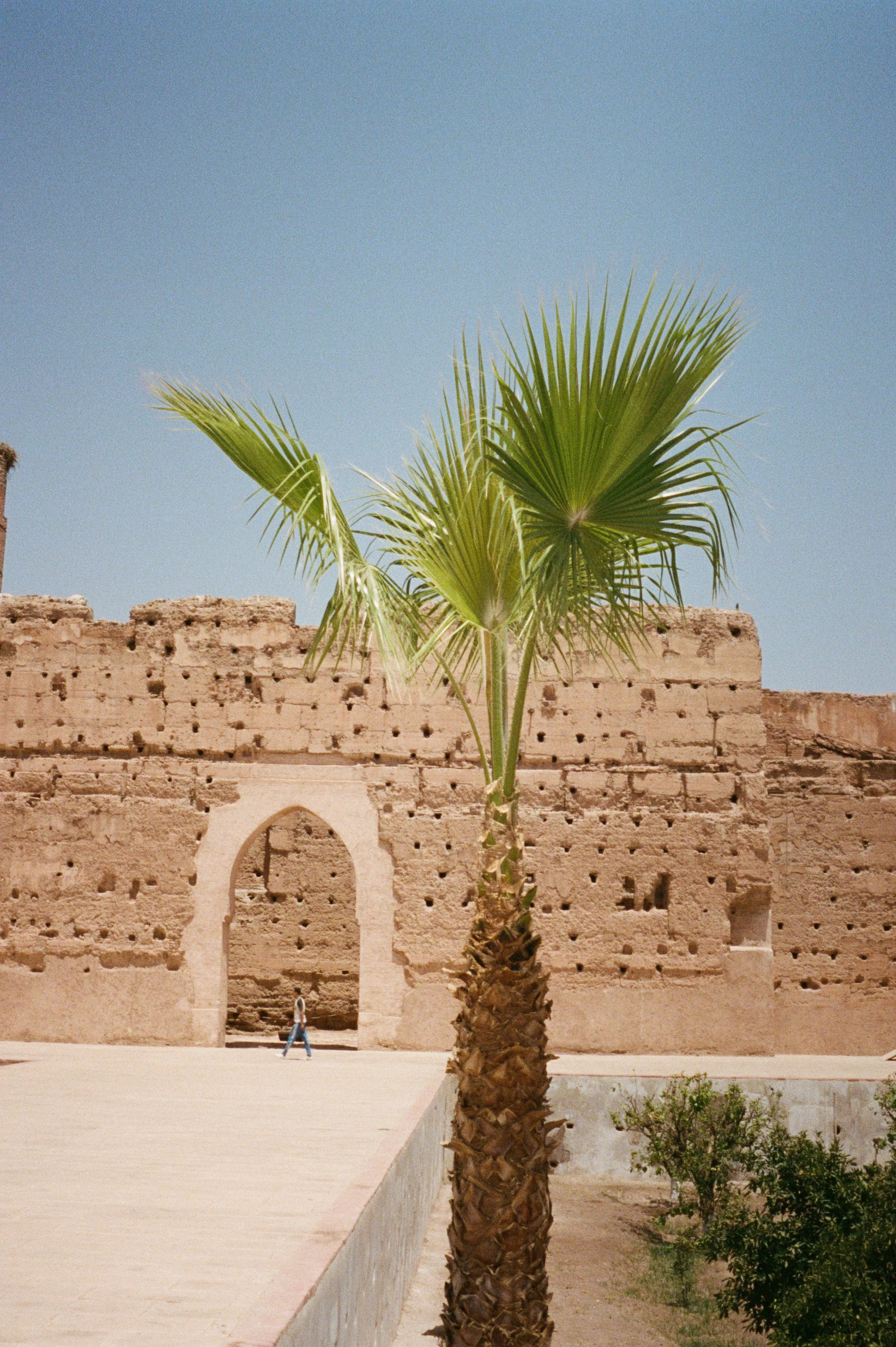 Photo 23-8-22, 8 05 27 am.jpg