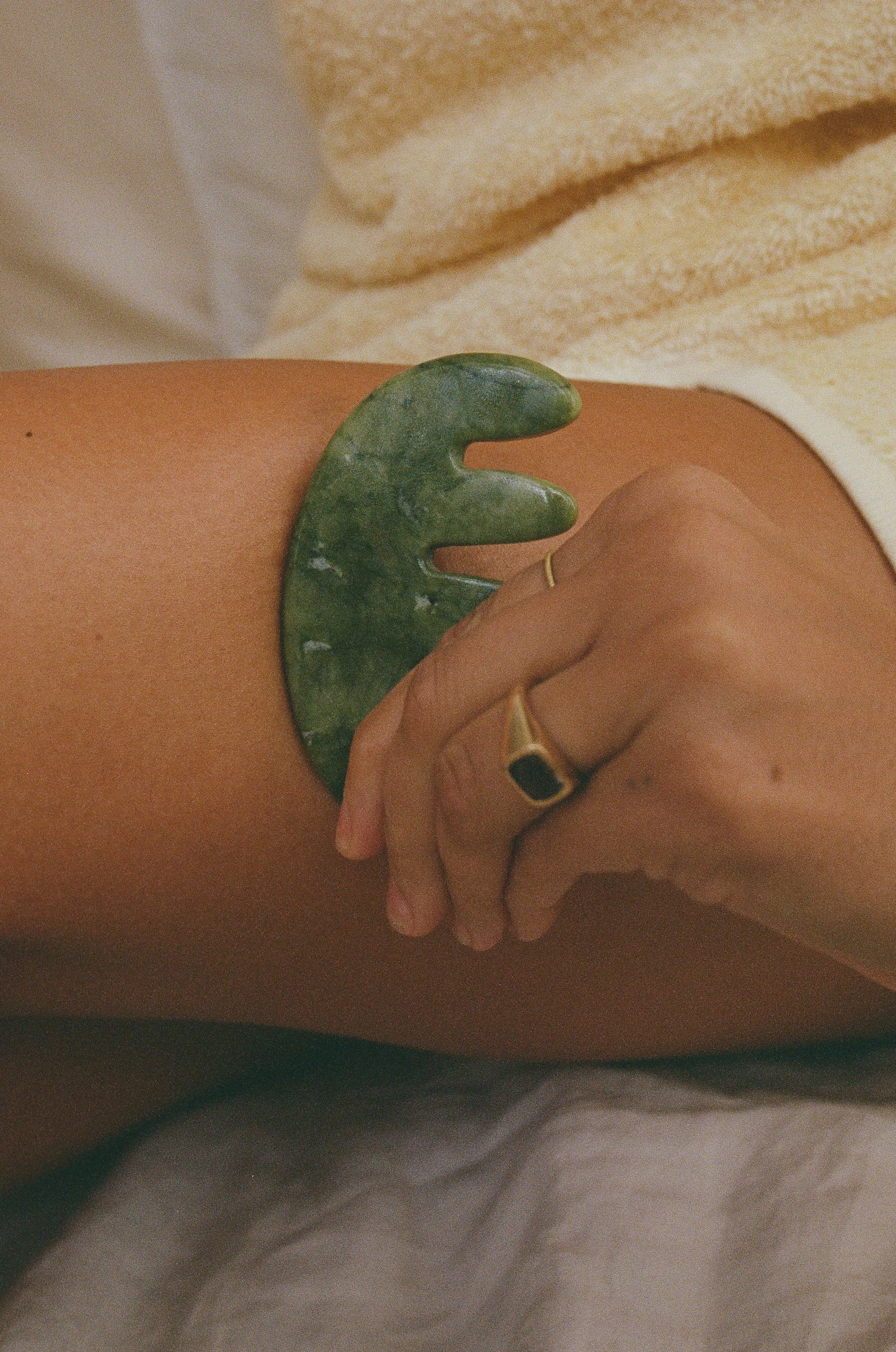 Photo 25-7-2024, 4 36 47 PM.jpg