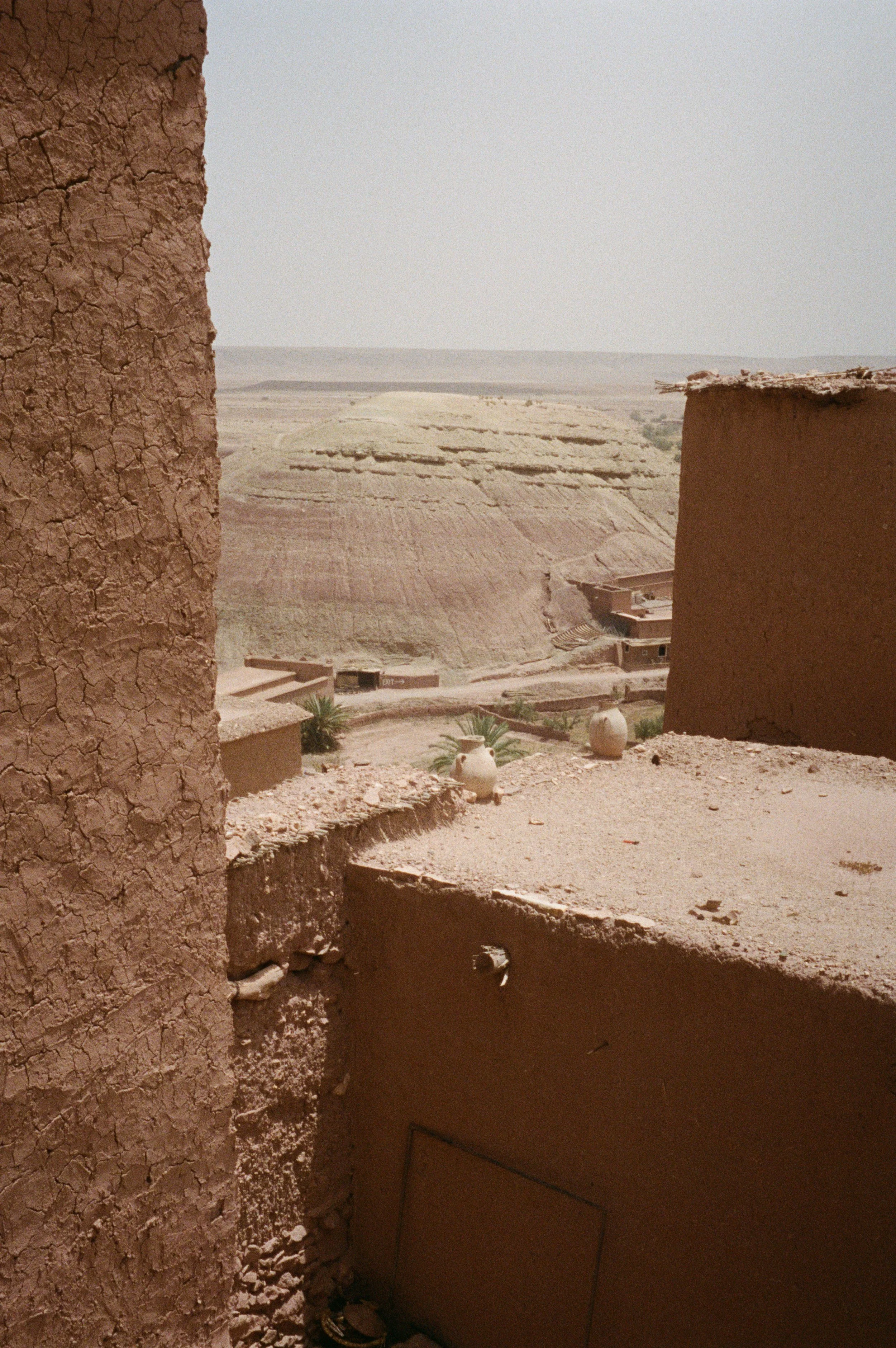 Photo 21-8-22, 4 08 53 am.jpg