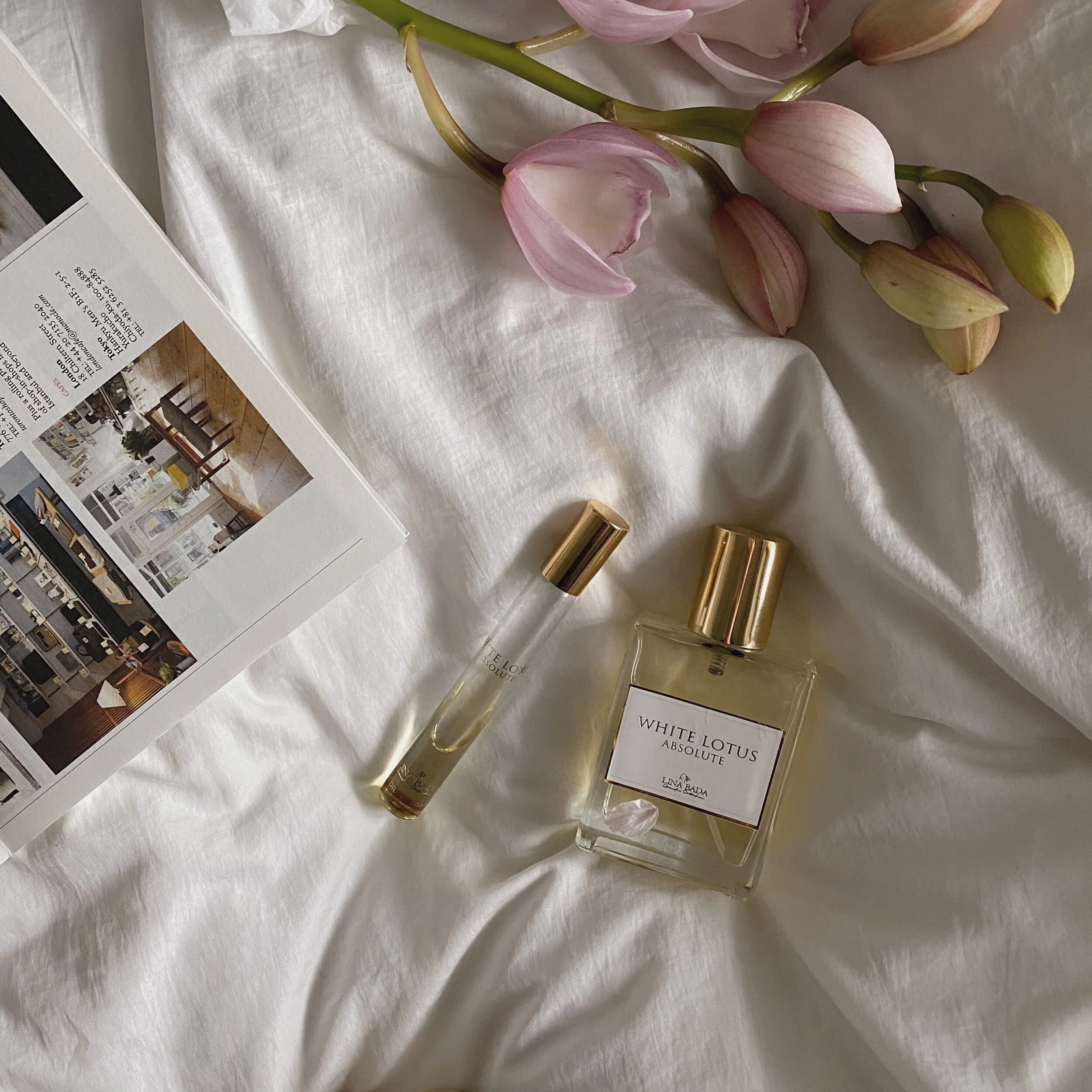 FullSizeRender 2 copy.jpg