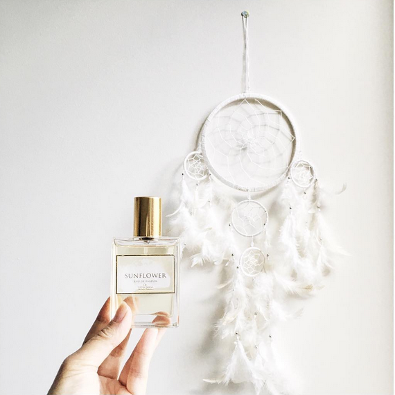 Screen Shot 2017-01-20 at 2.57.55 pm.png