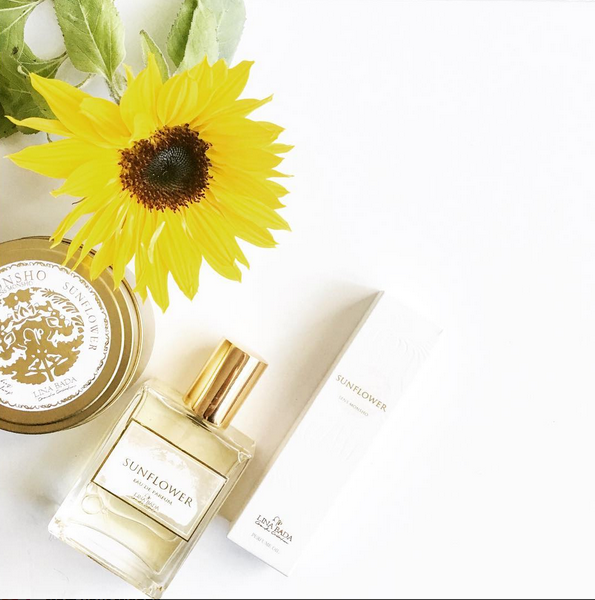 Screen Shot 2017-01-20 at 2.55.52 pm.png